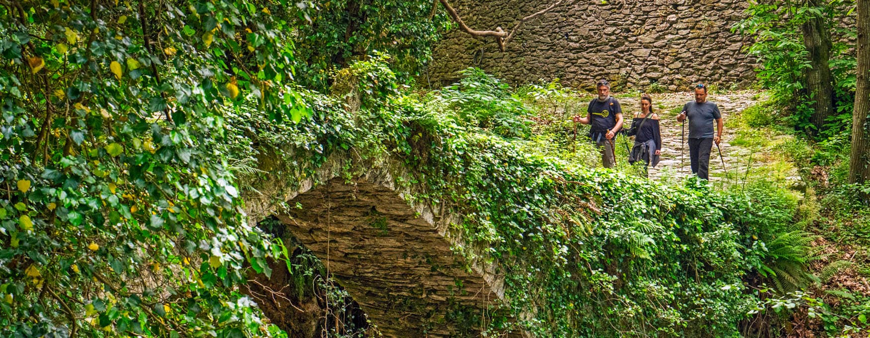routes-in-pelion