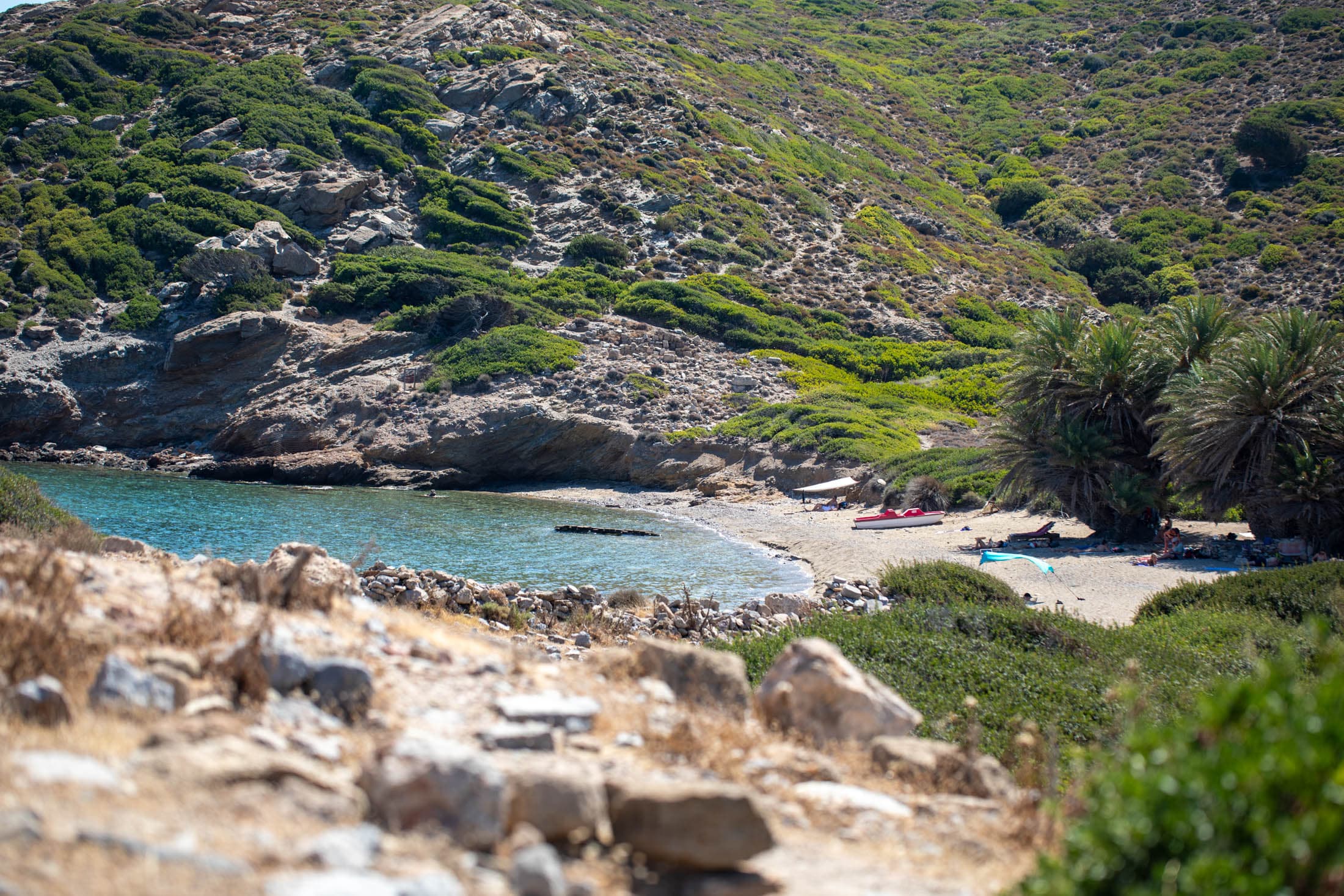 Alt text not provided