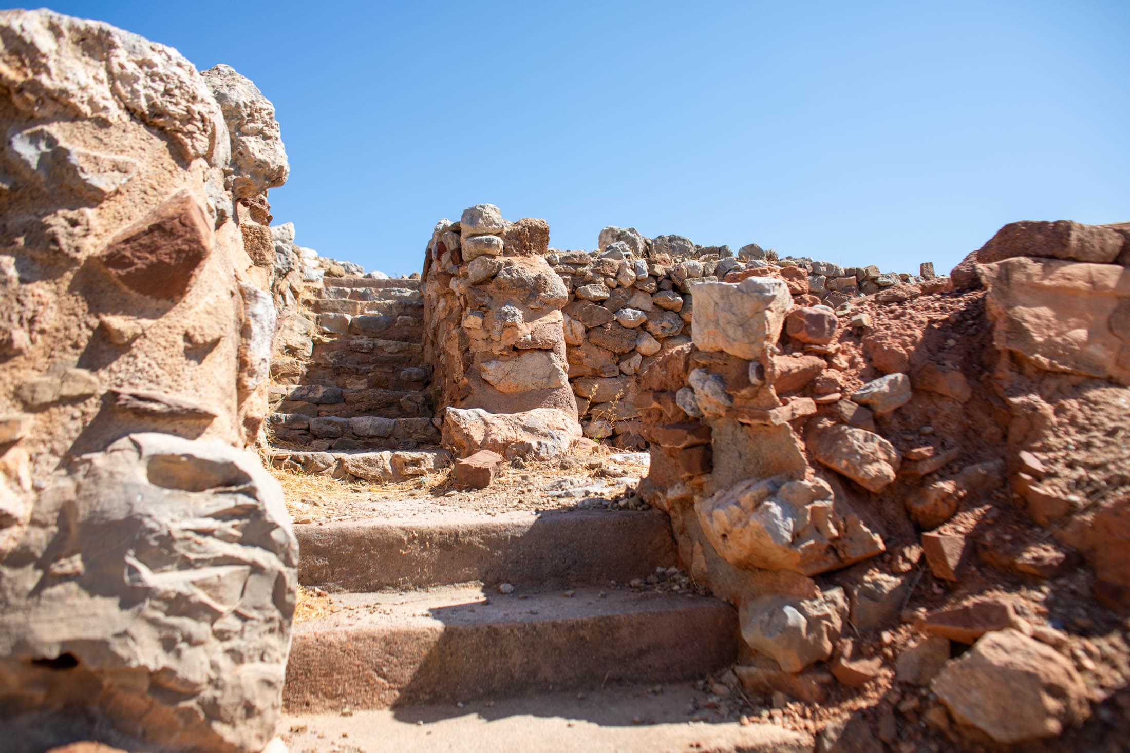 Alt text not provided