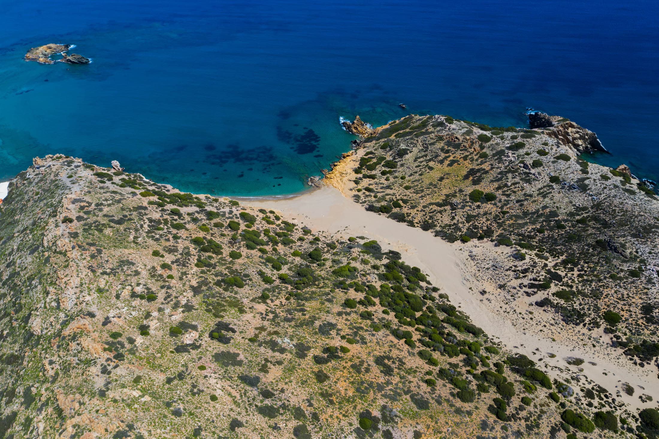 Alt text not provided