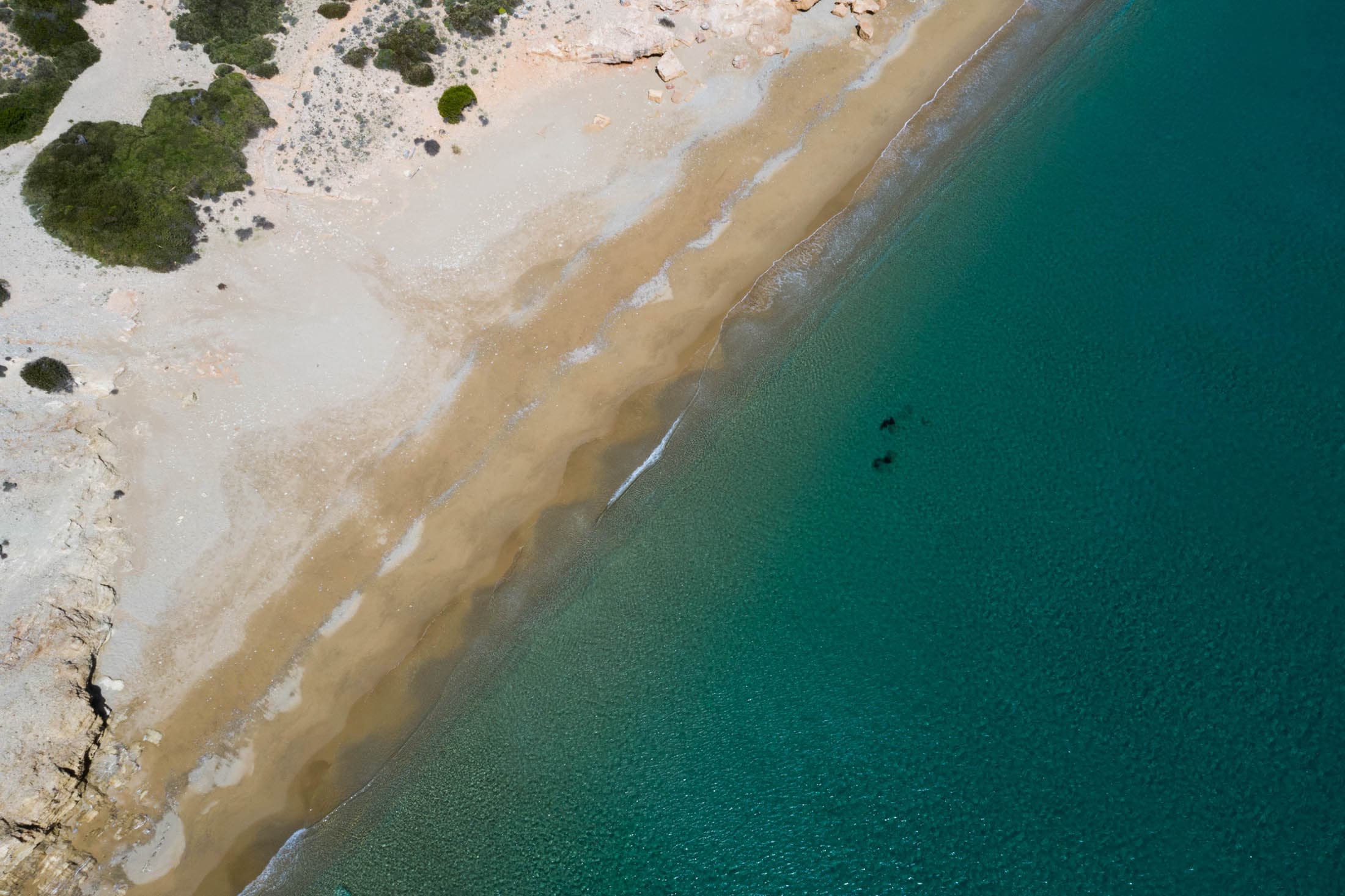 Alt text not provided