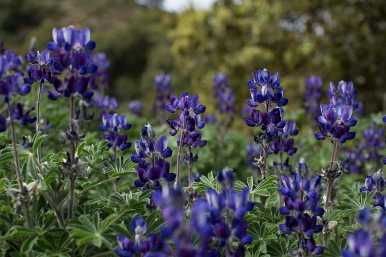 Alt text not provided