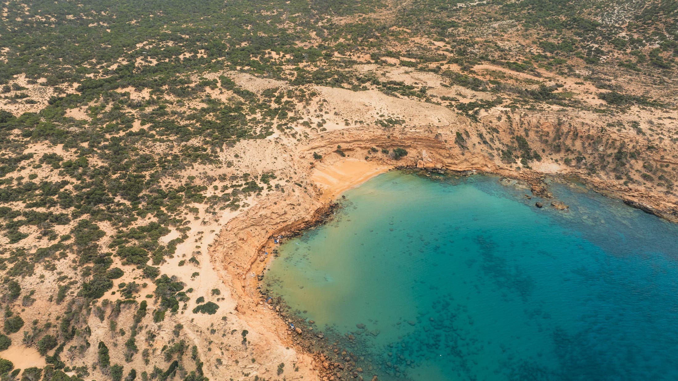 Alt text not provided