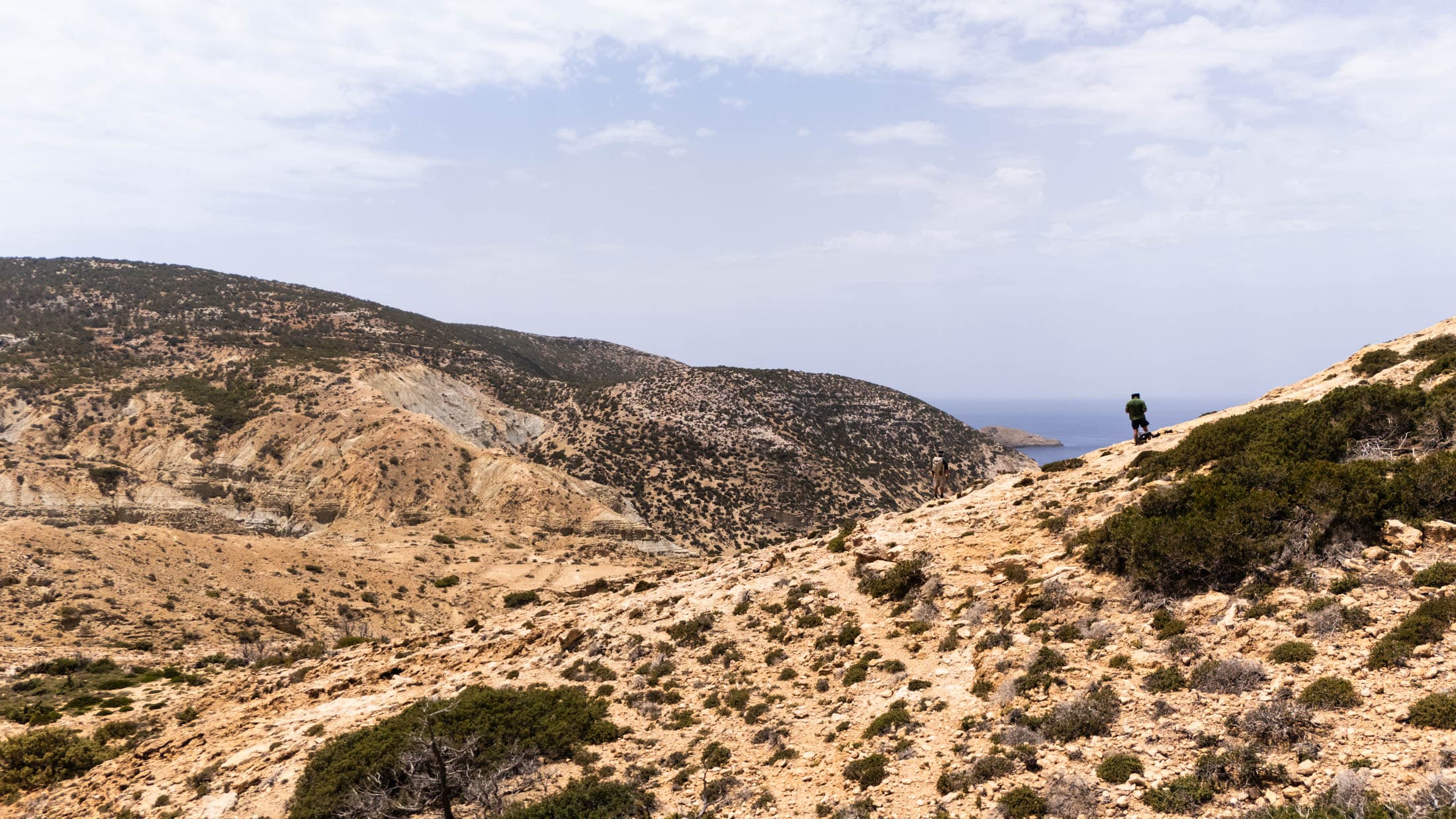 Alt text not provided