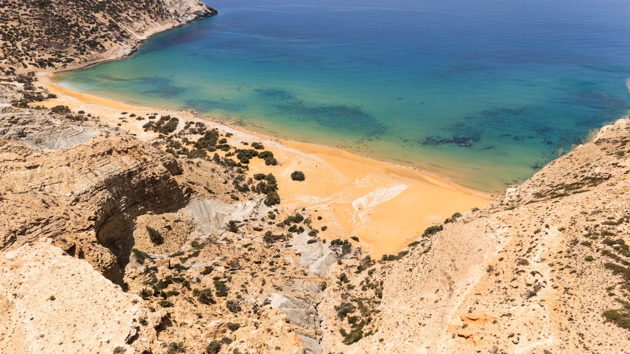 Alt text not provided