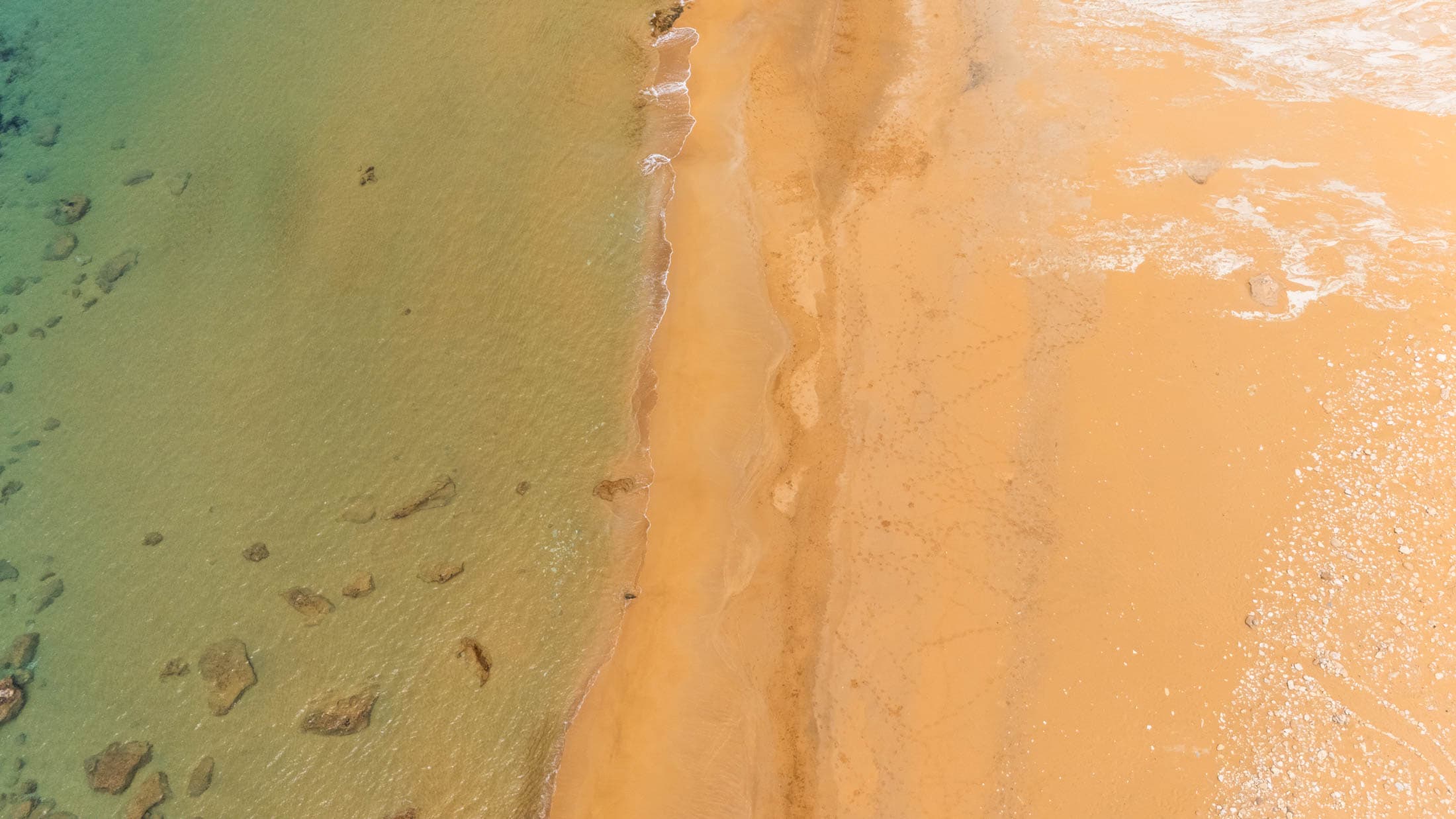 Alt text not provided