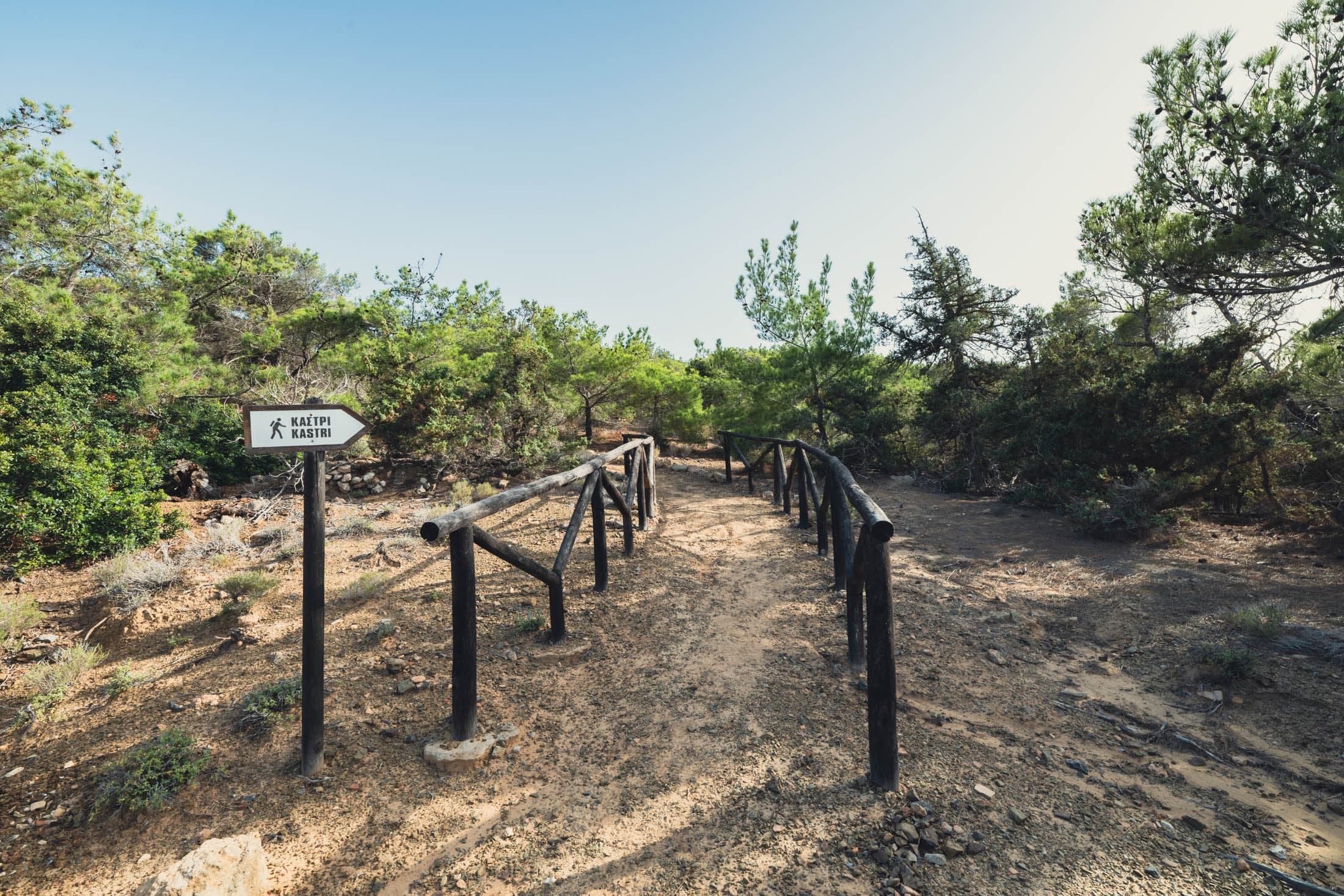 Alt text not provided