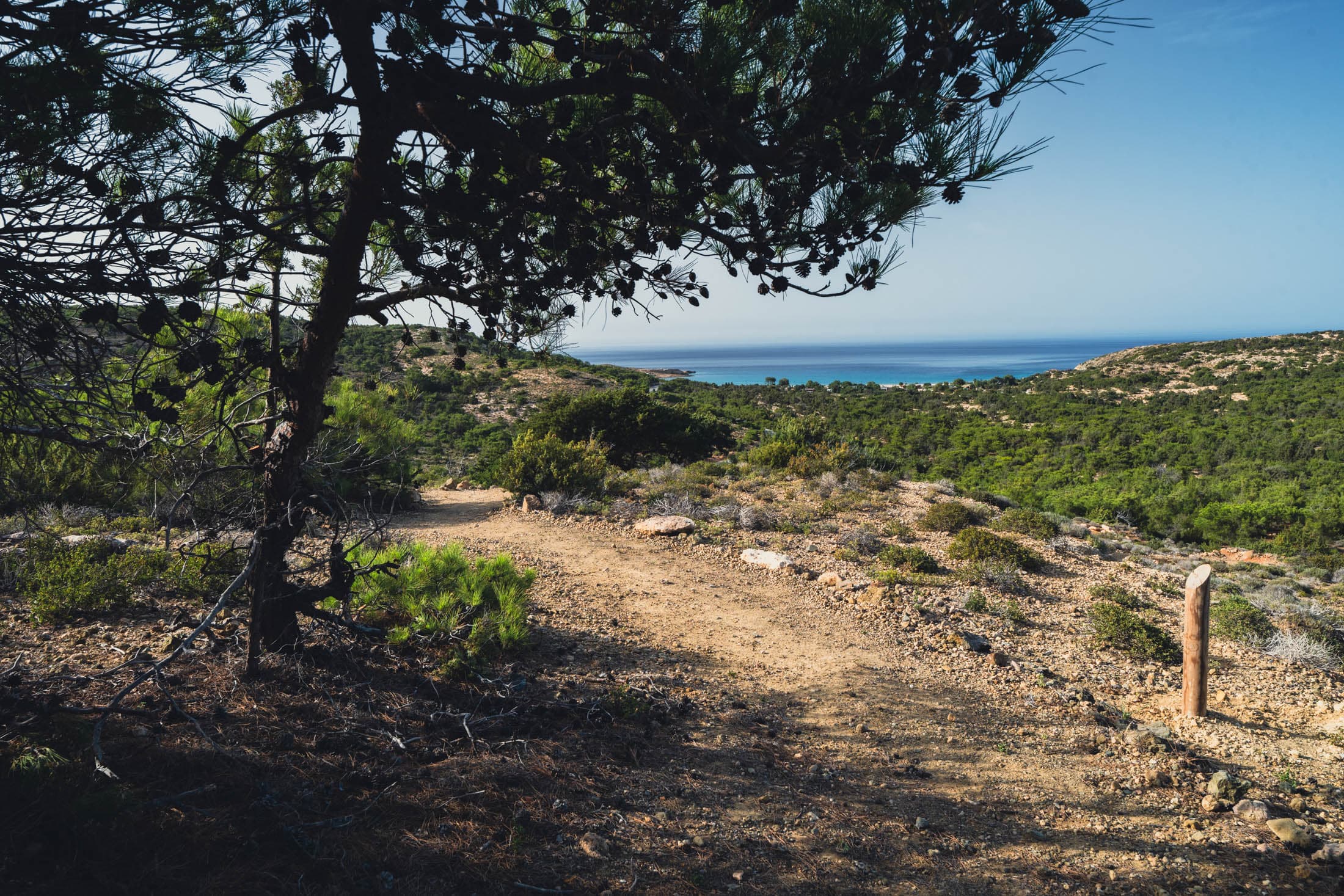 Alt text not provided