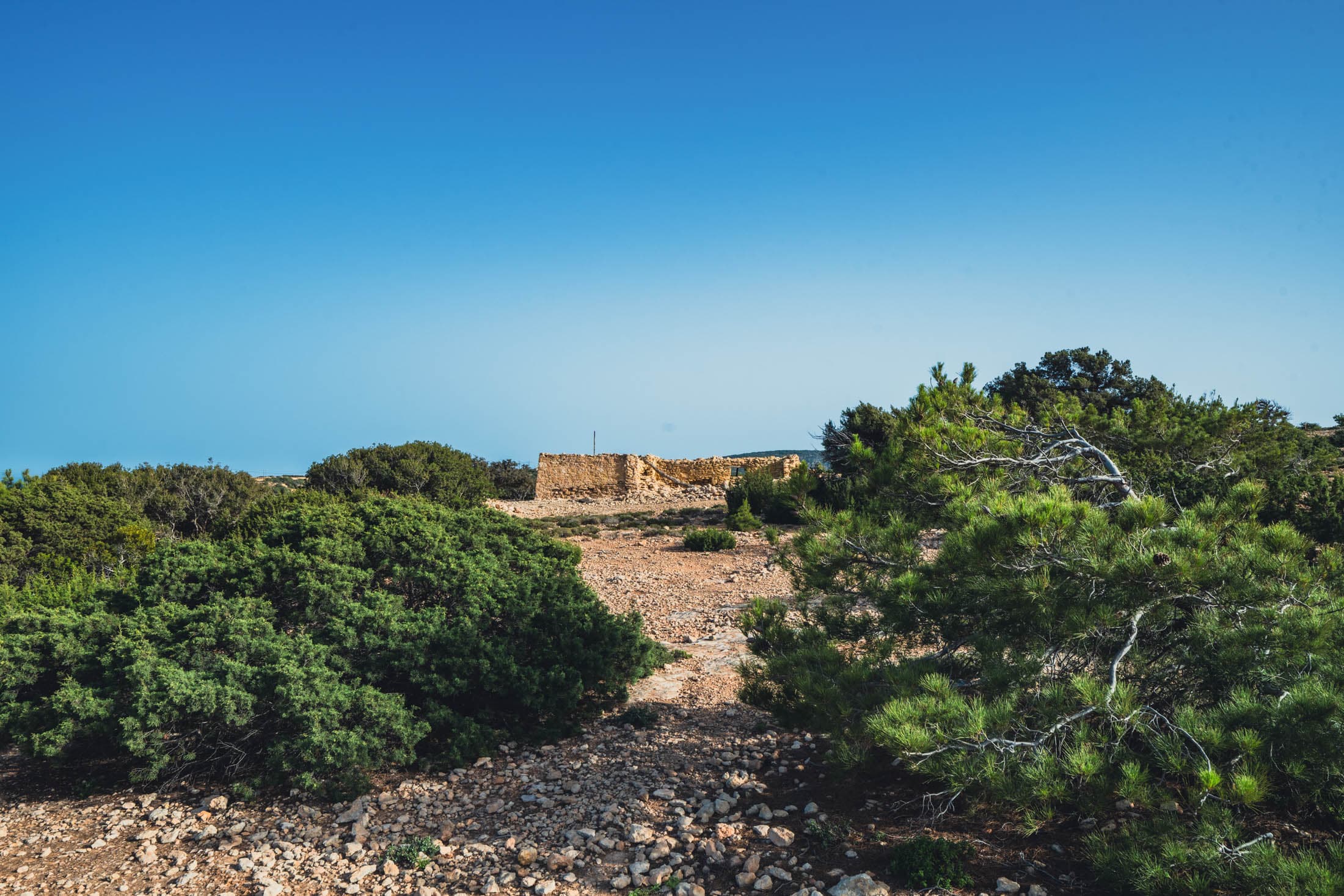 Alt text not provided