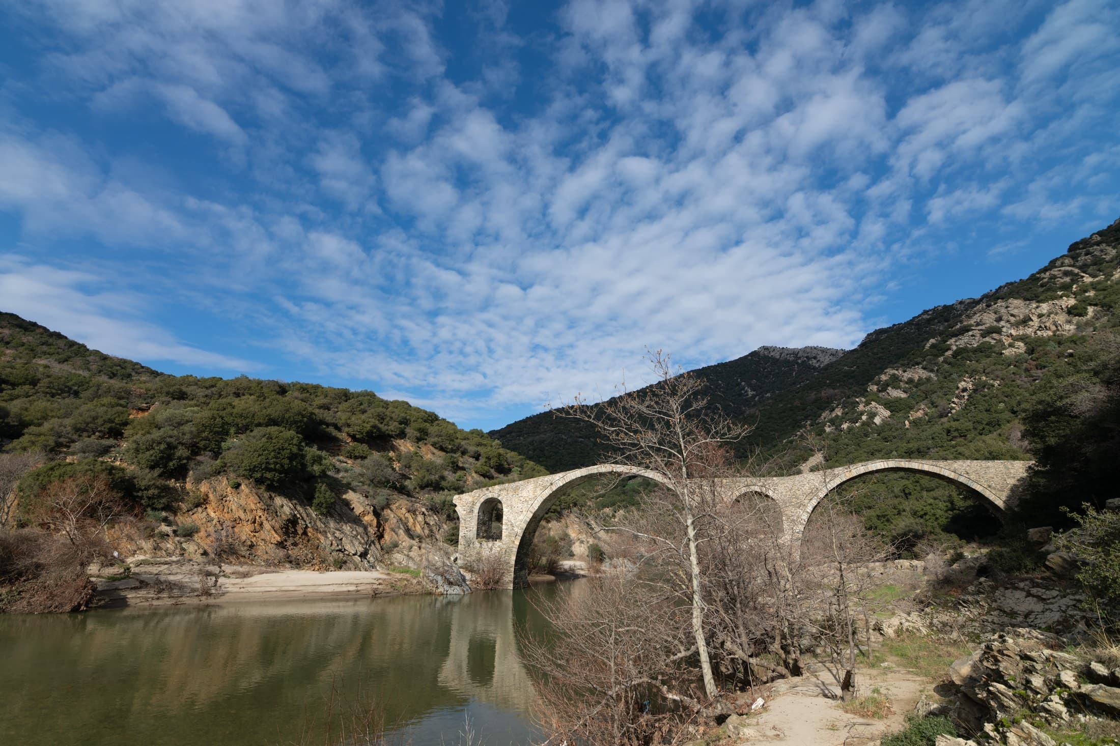 Alt text not provided