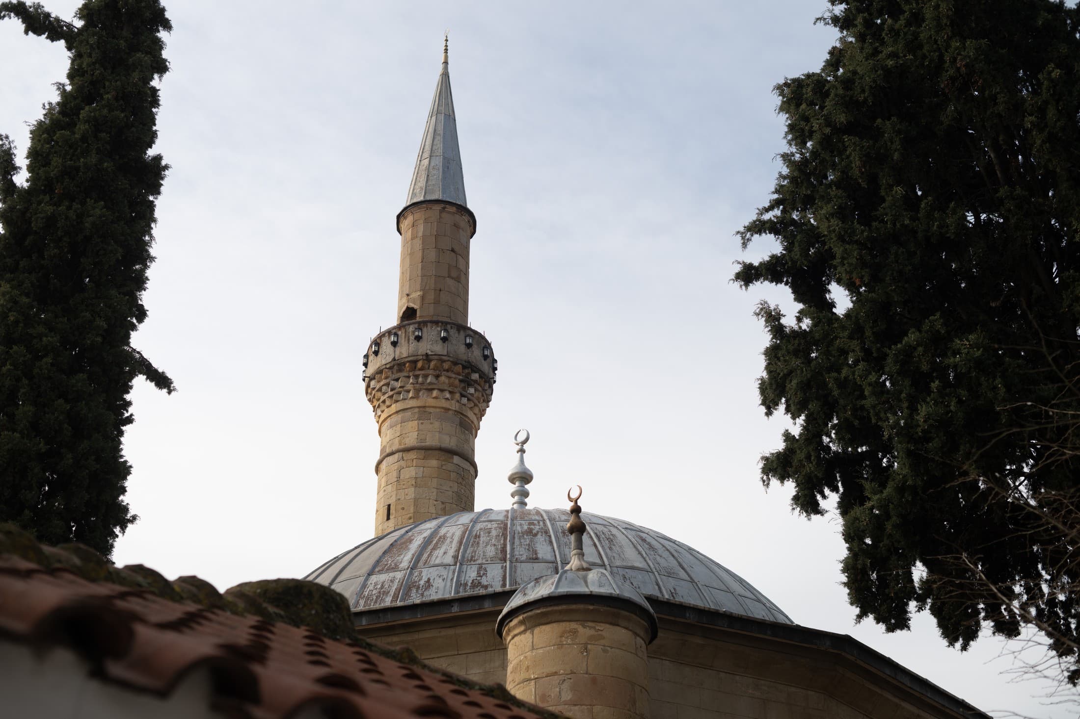 Alt text not provided