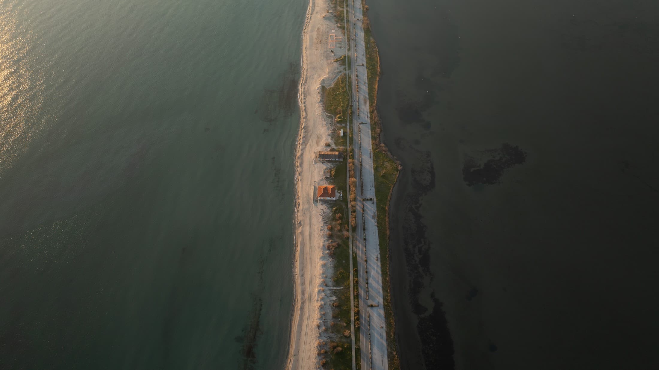 Alt text not provided