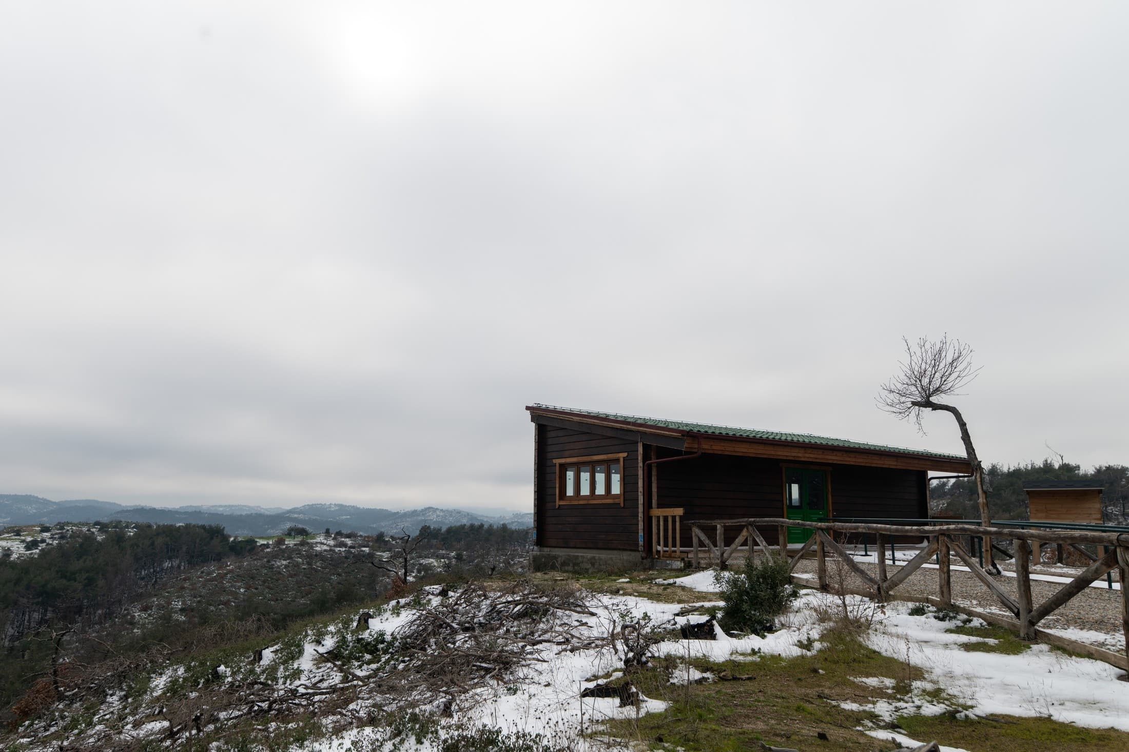 Alt text not provided