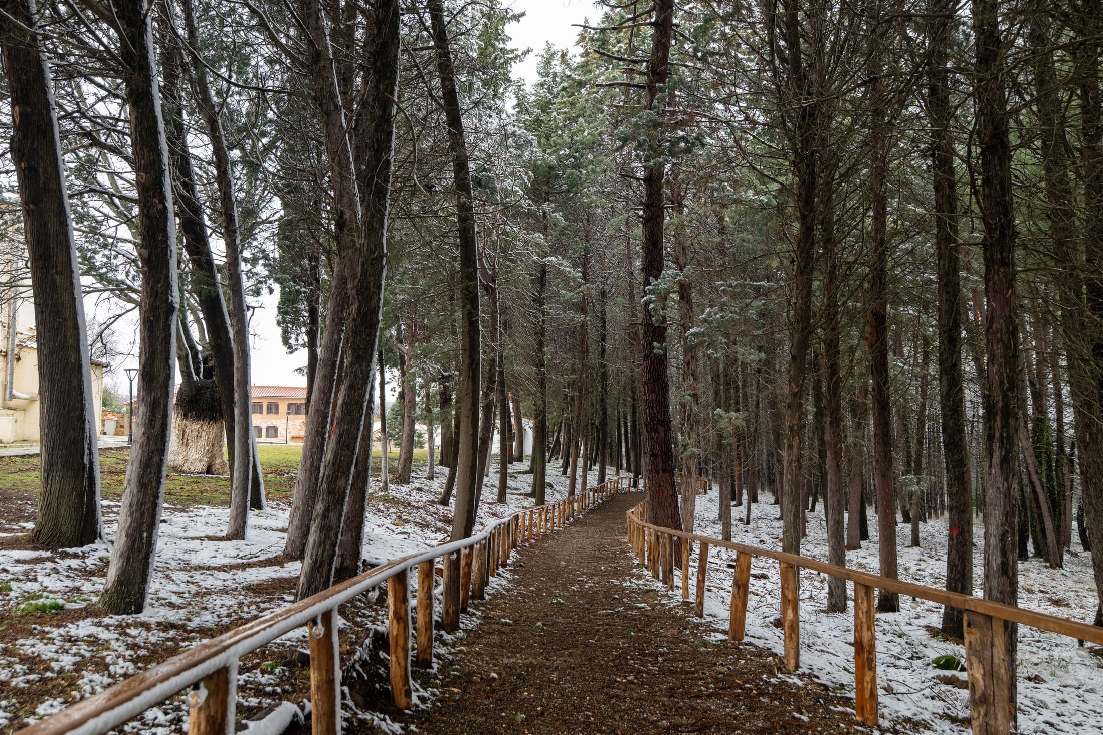 Alt text not provided