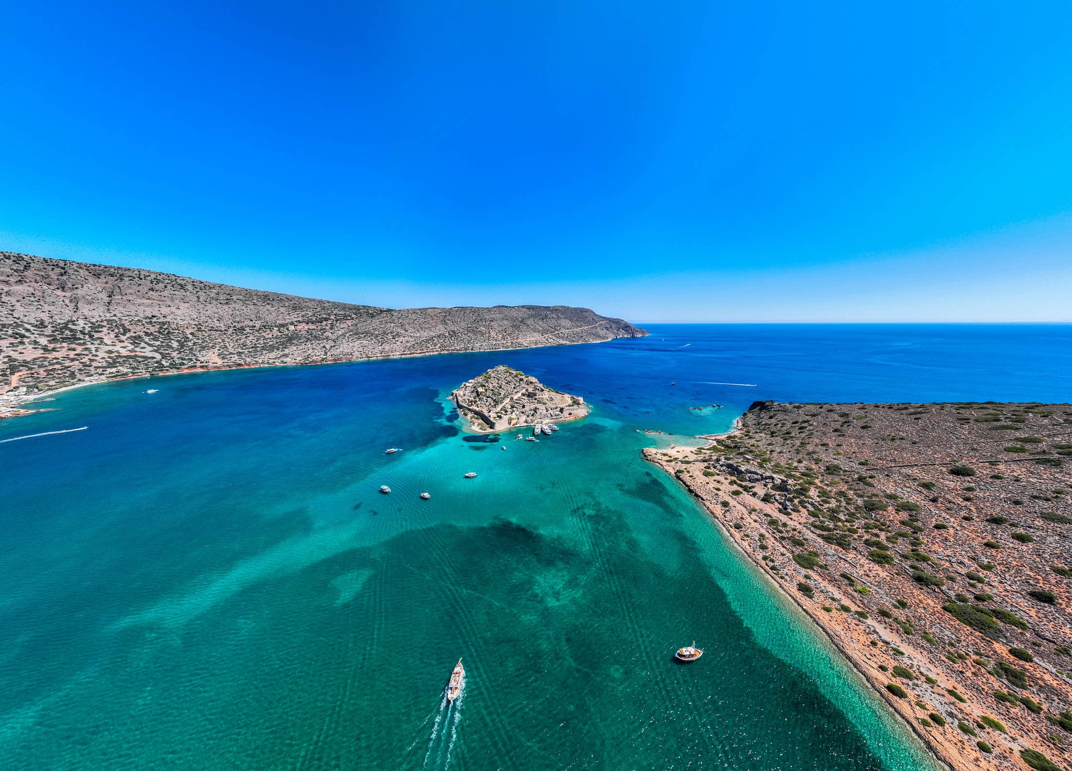 Alt text not provided