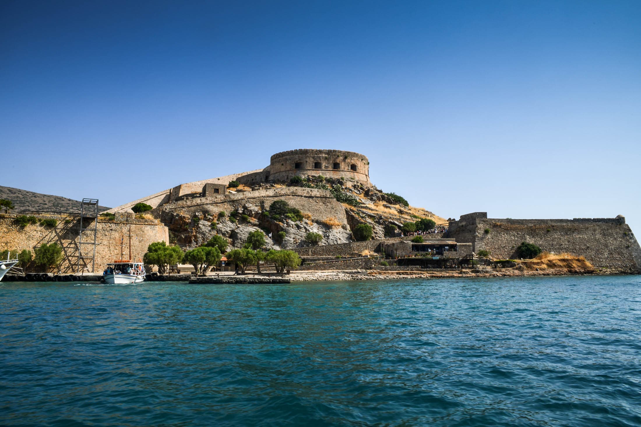 Alt text not provided