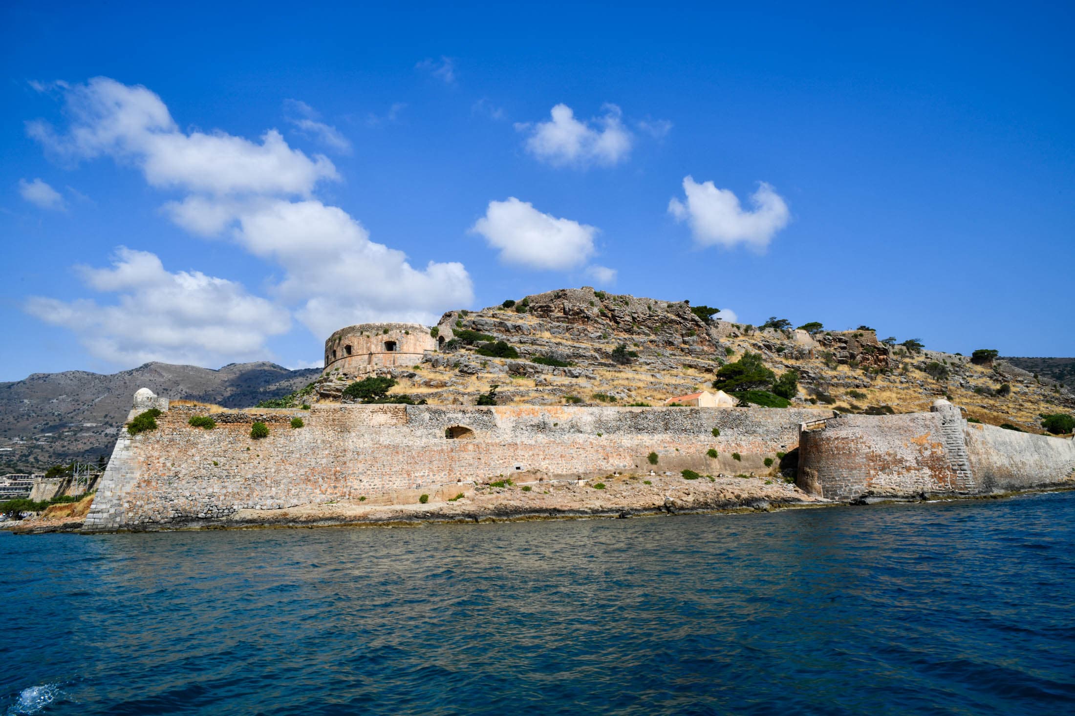 Alt text not provided