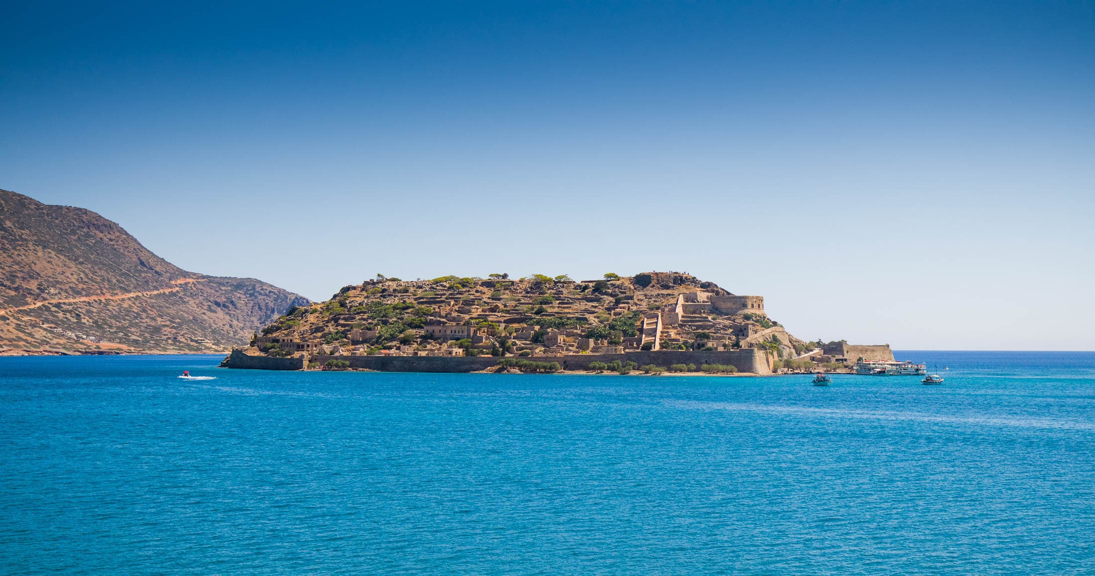 Alt text not provided