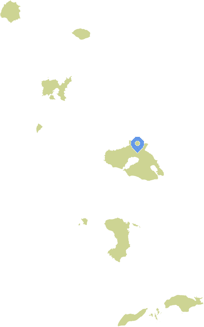 Overview Image