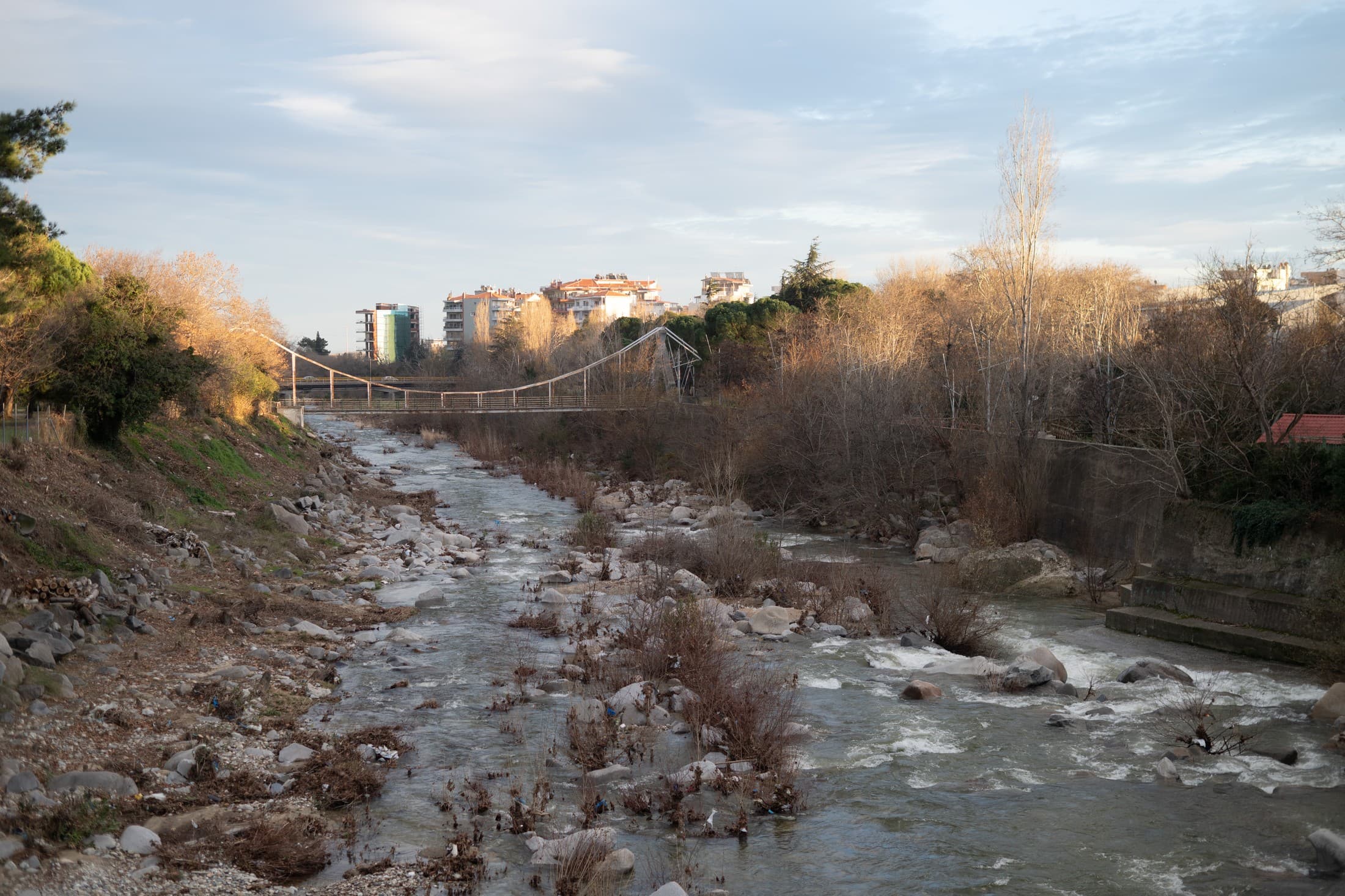 Alt text not provided