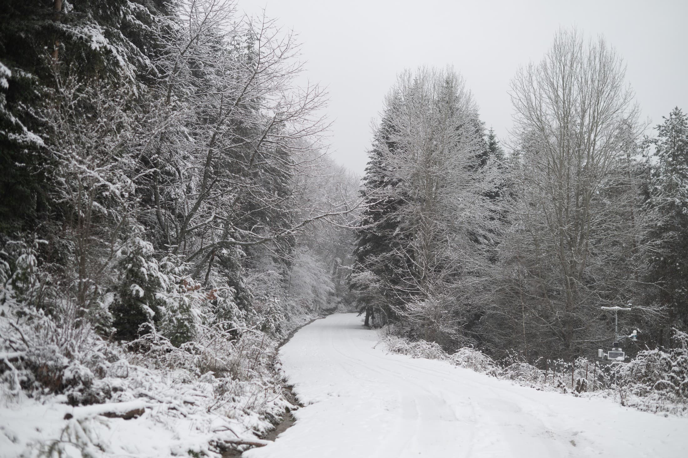 Alt text not provided