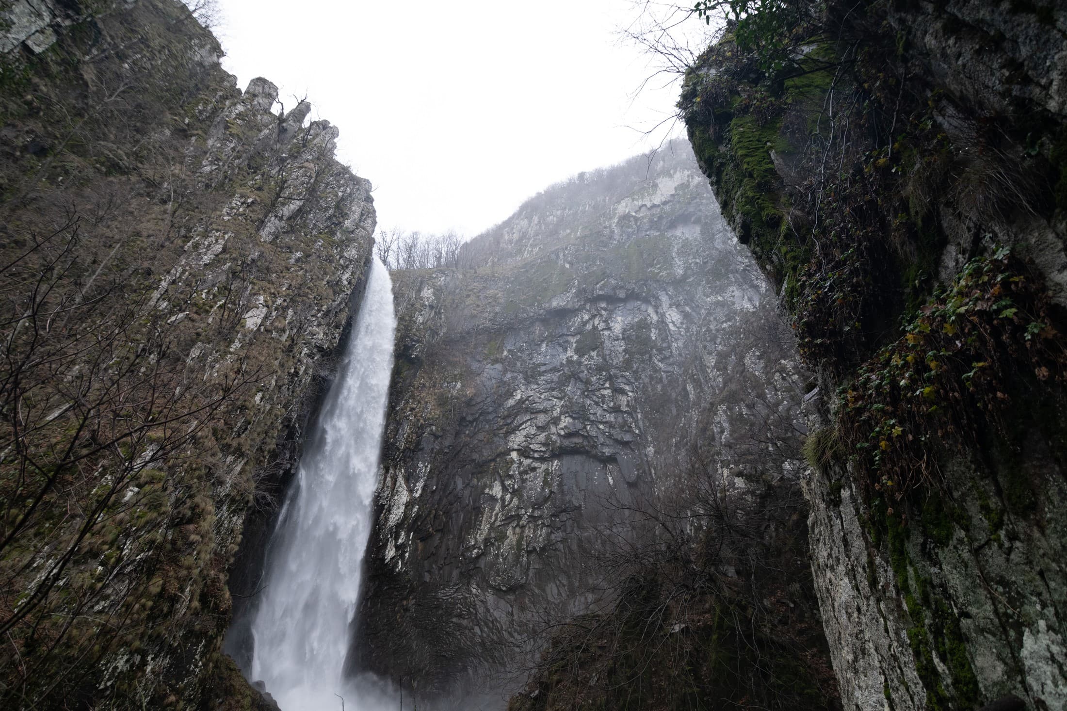 Alt text not provided