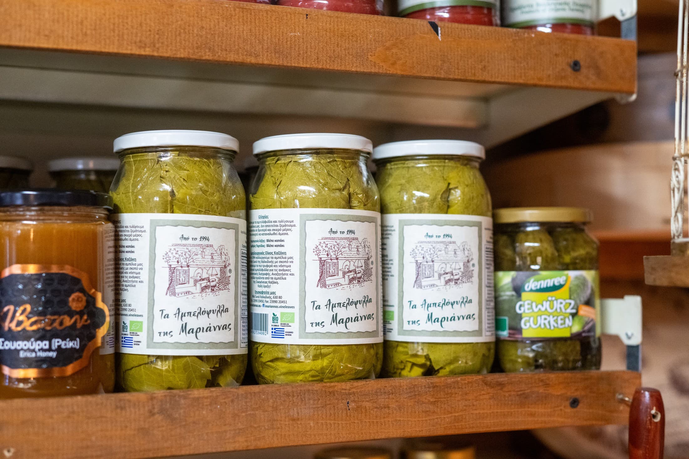 Alt text not provided