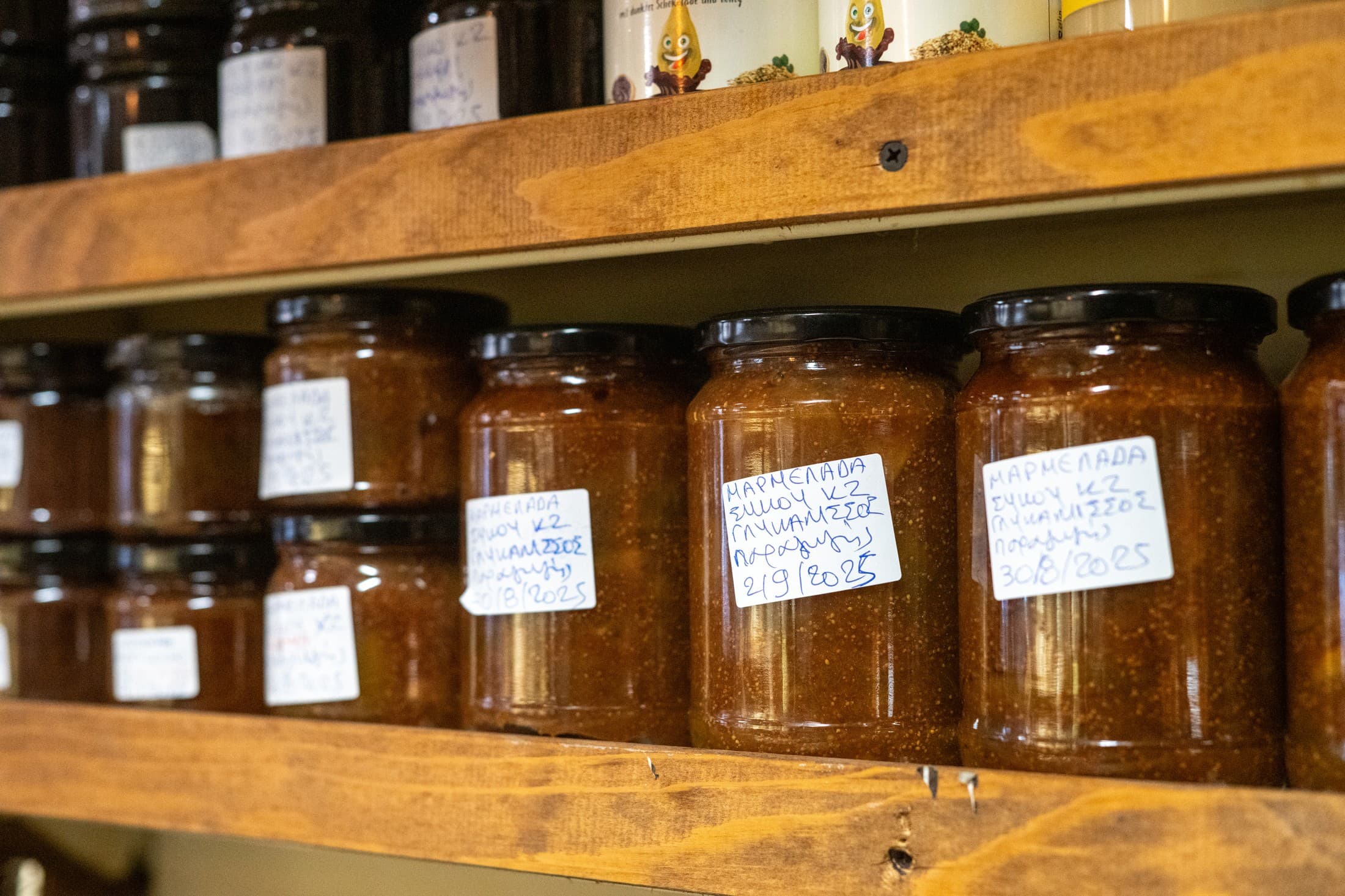 Alt text not provided