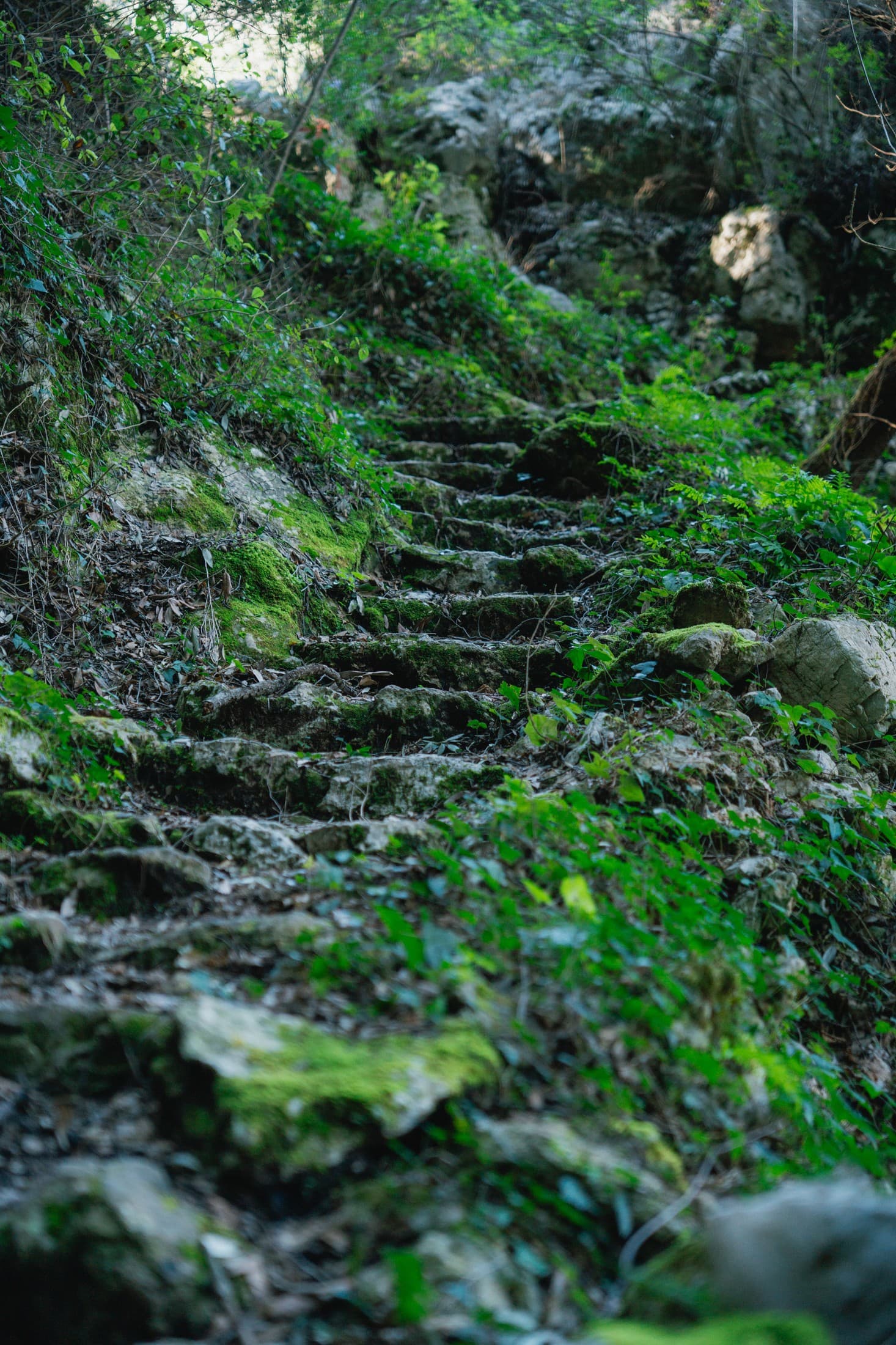 Alt text not provided