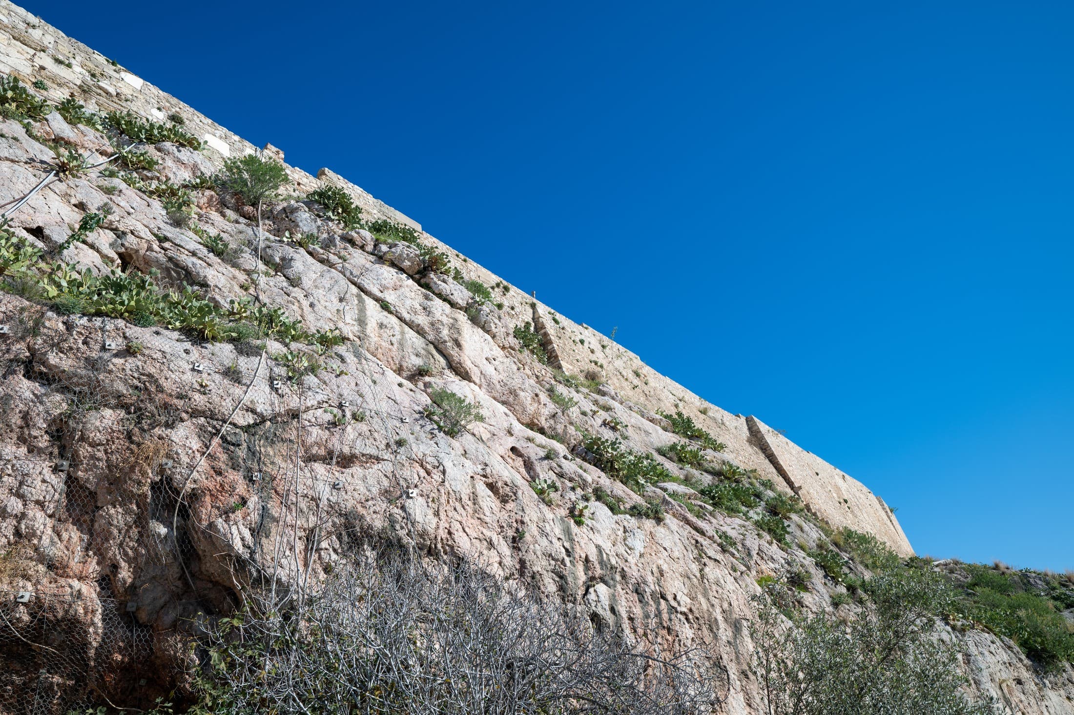 Alt text not provided