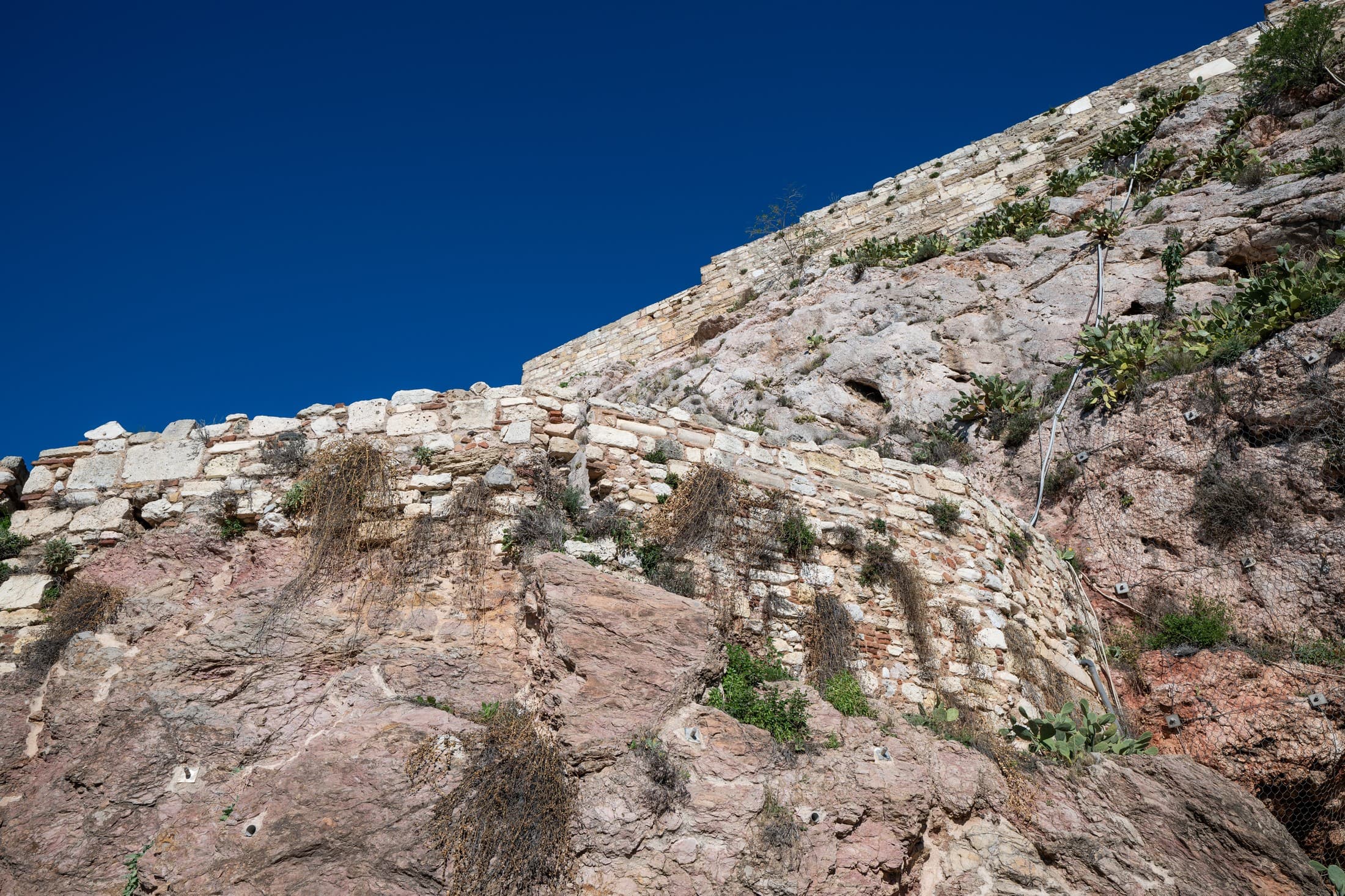 Alt text not provided