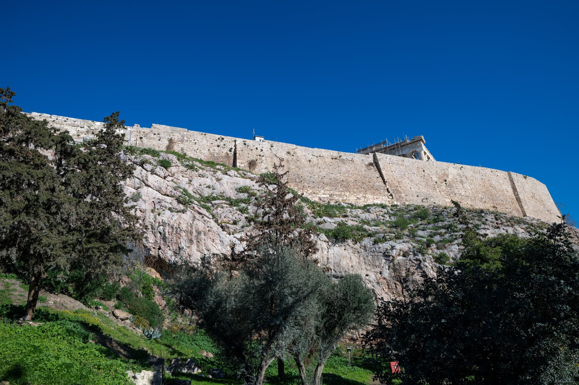 Alt text not provided