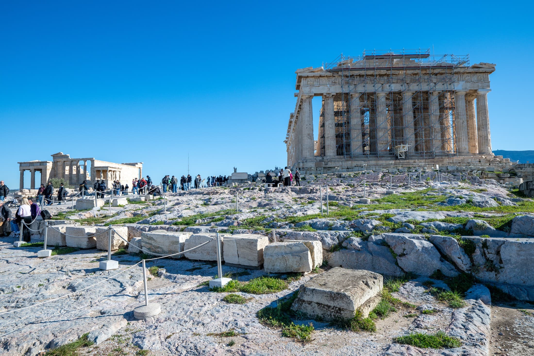 Alt text not provided