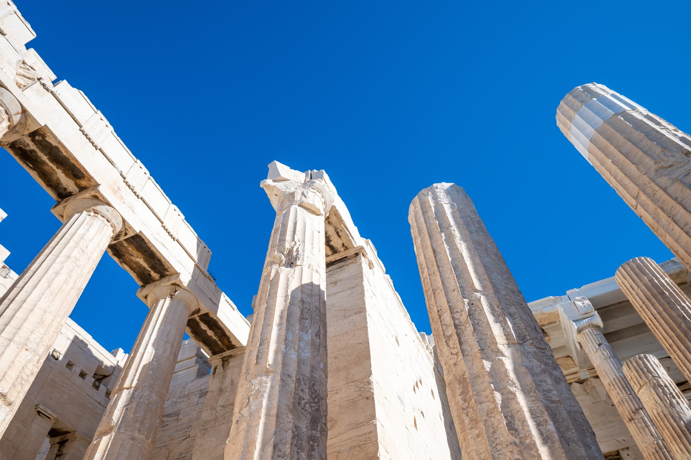 Alt text not provided