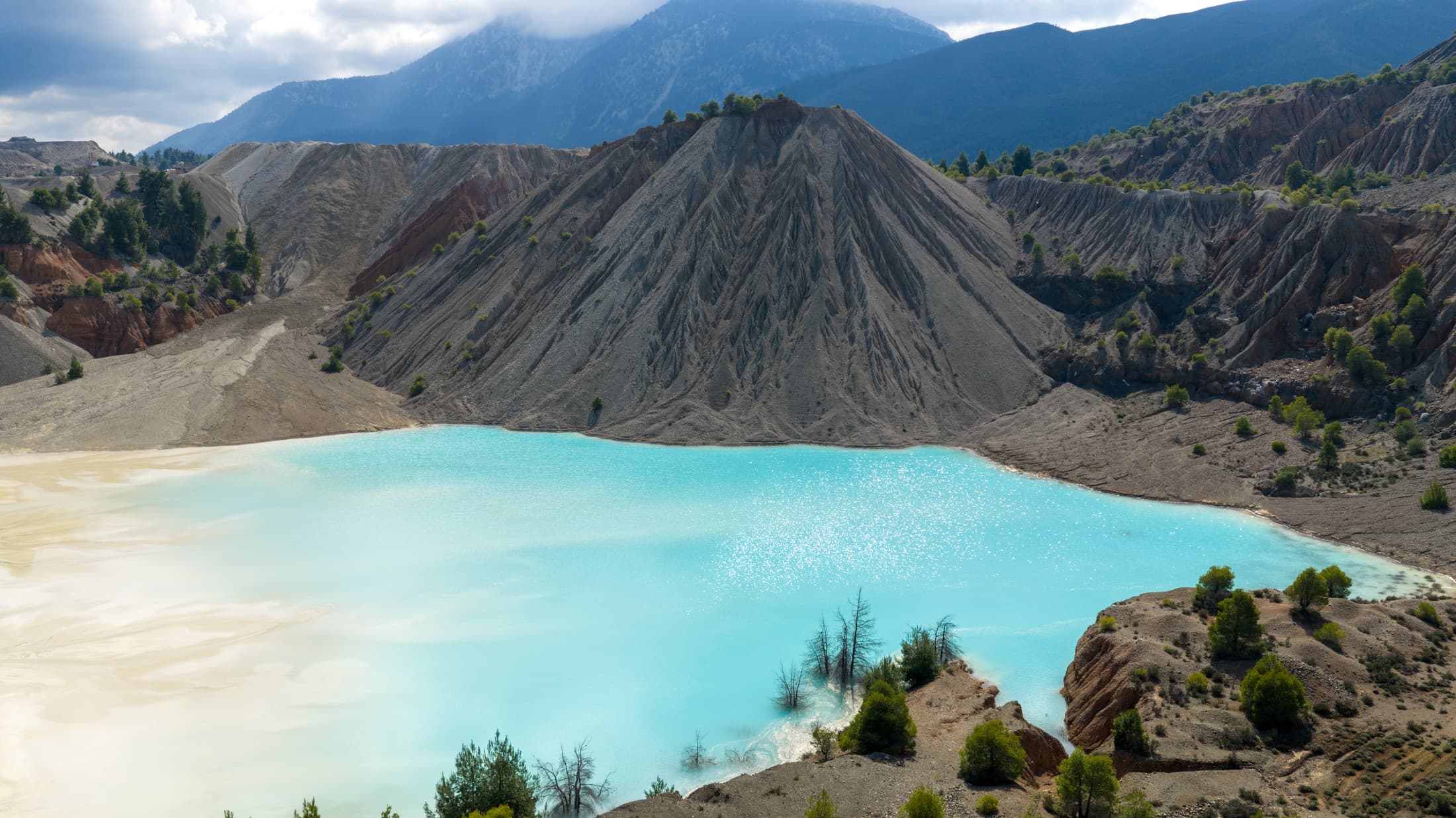 Alt text not provided