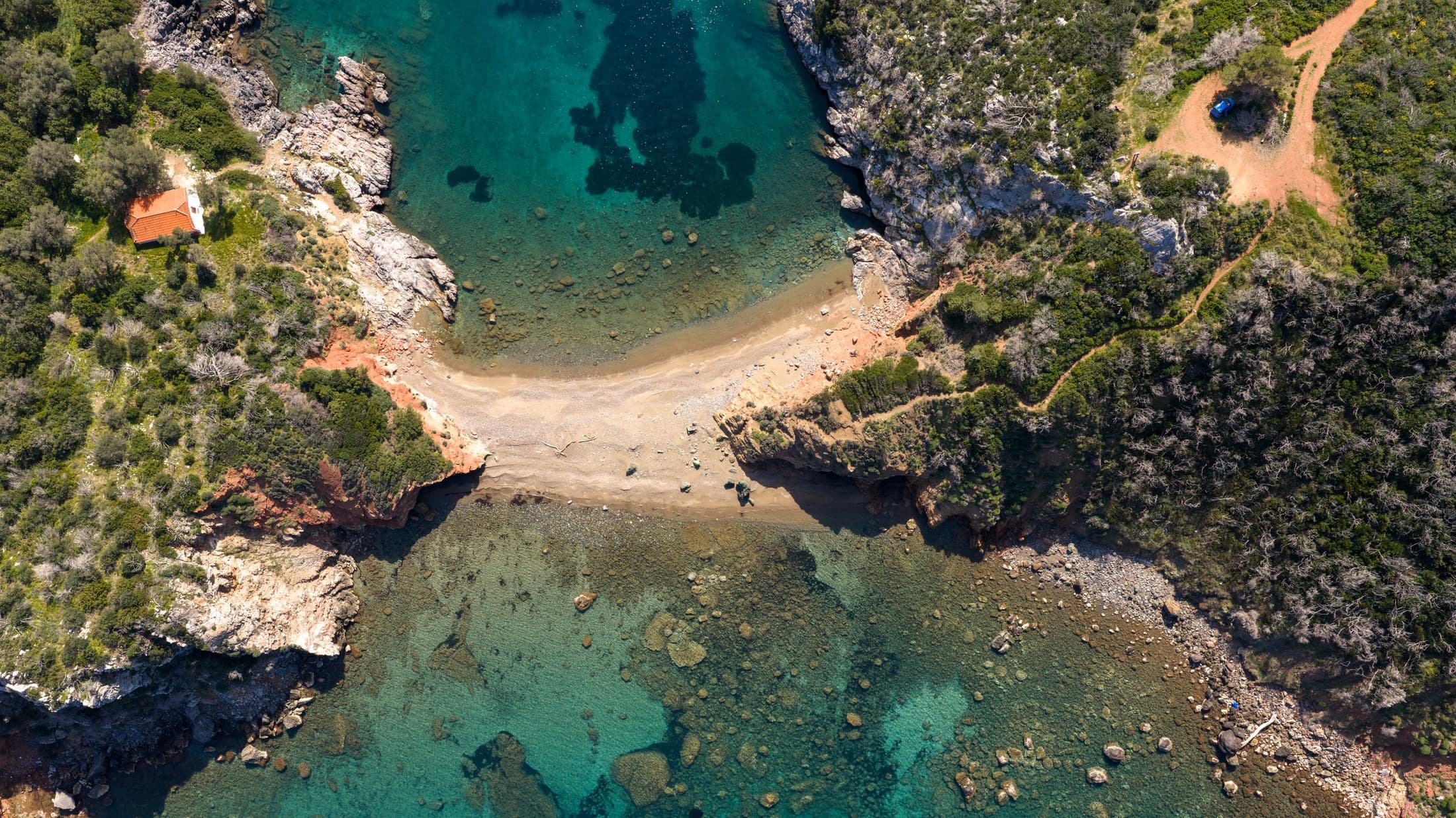 Alt text not provided