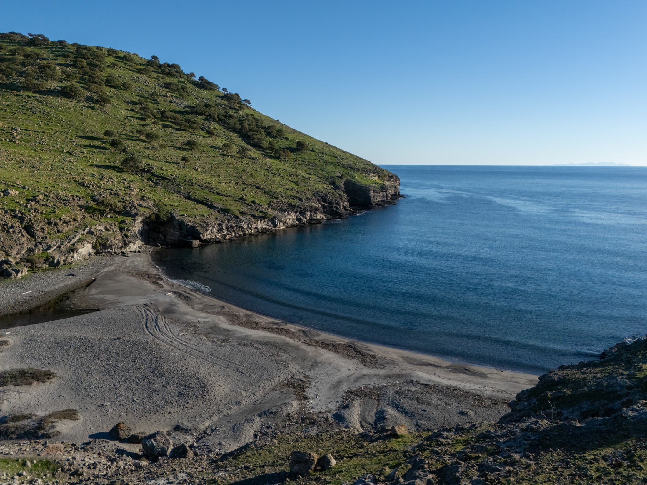 Alt text not provided