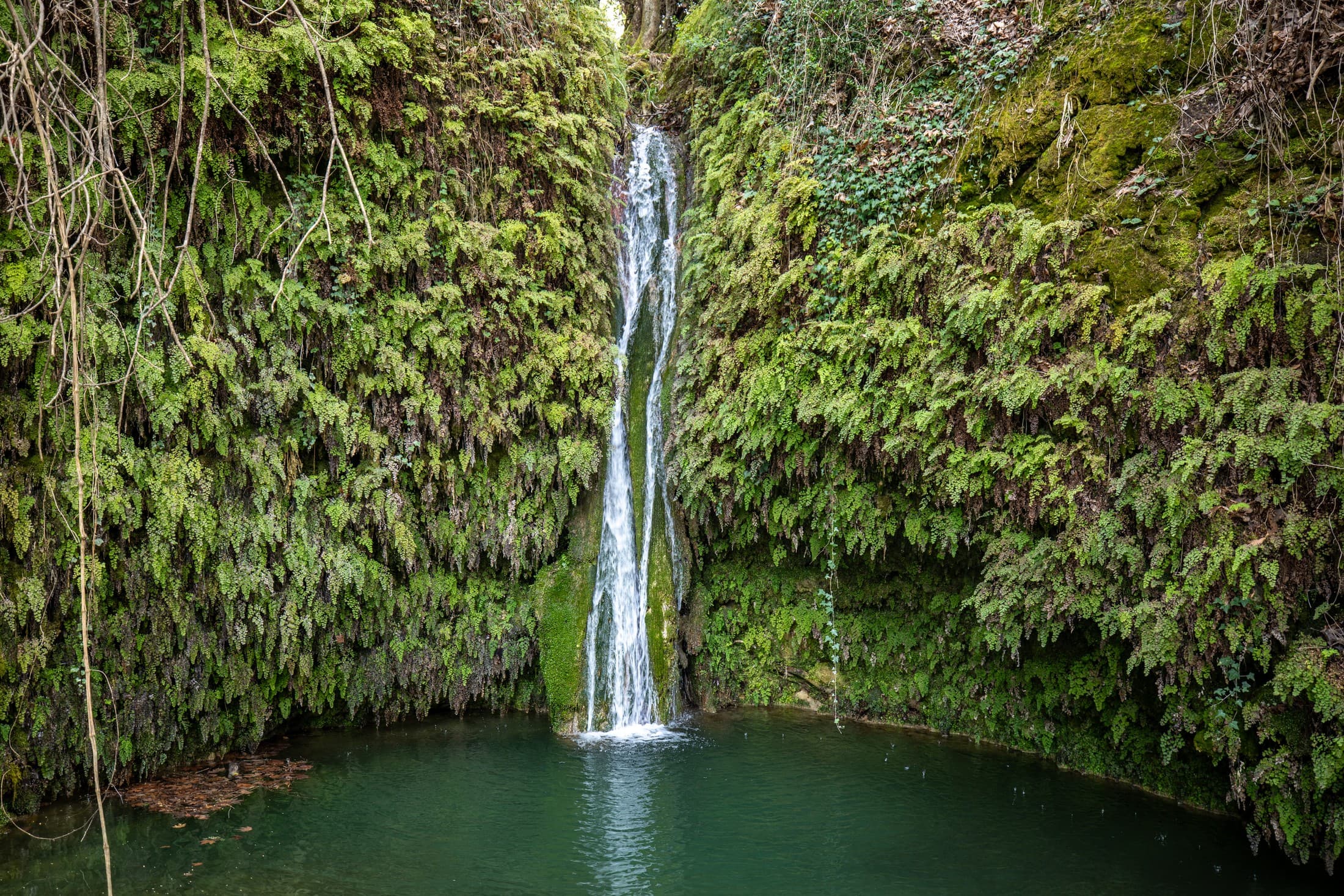 Alt text not provided