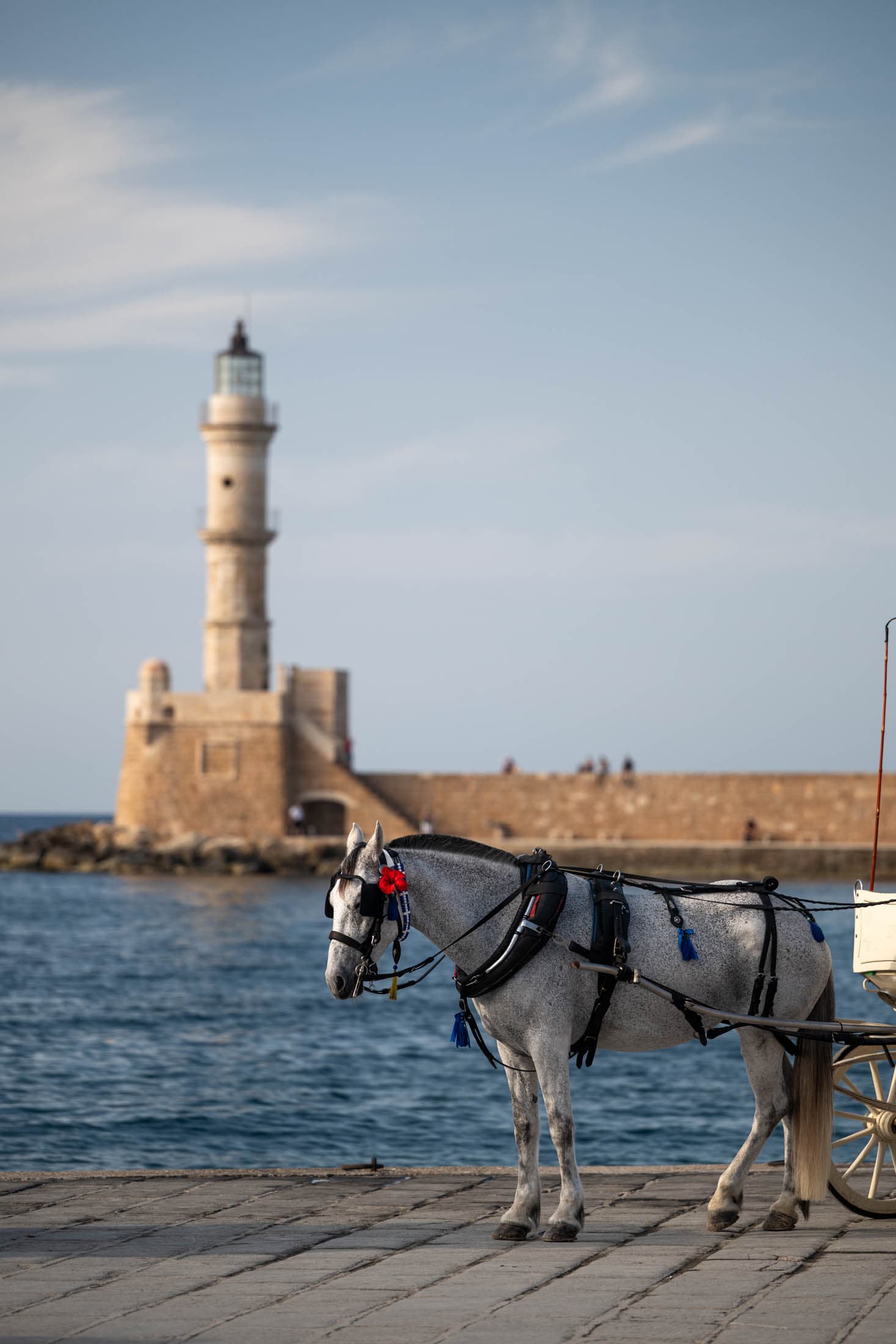 Alt text not provided