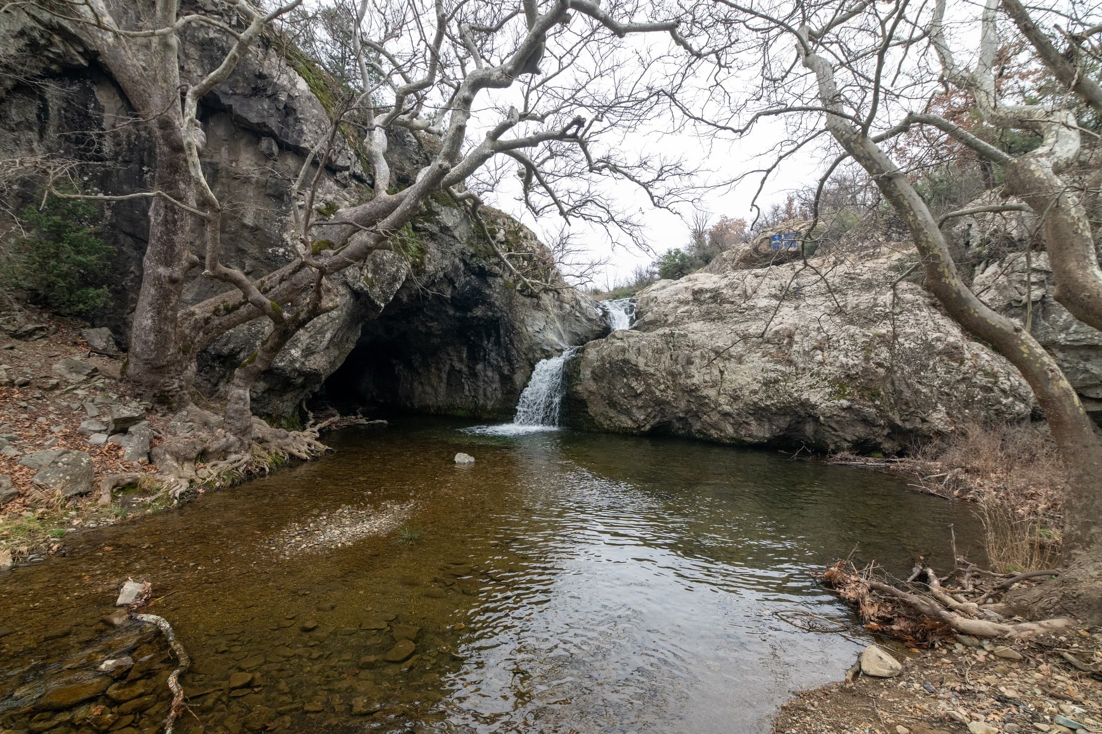 Alt text not provided