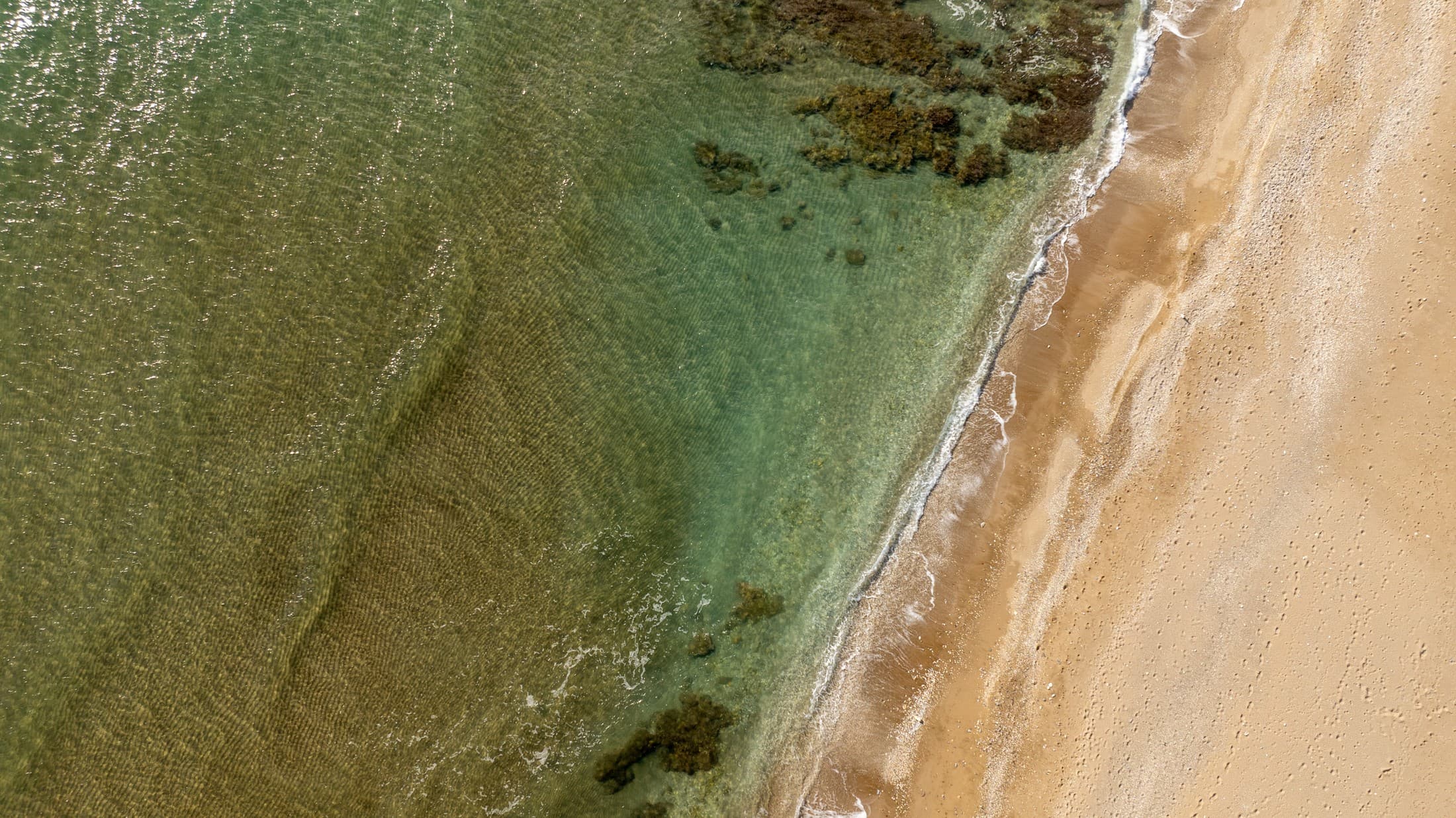 Alt text not provided