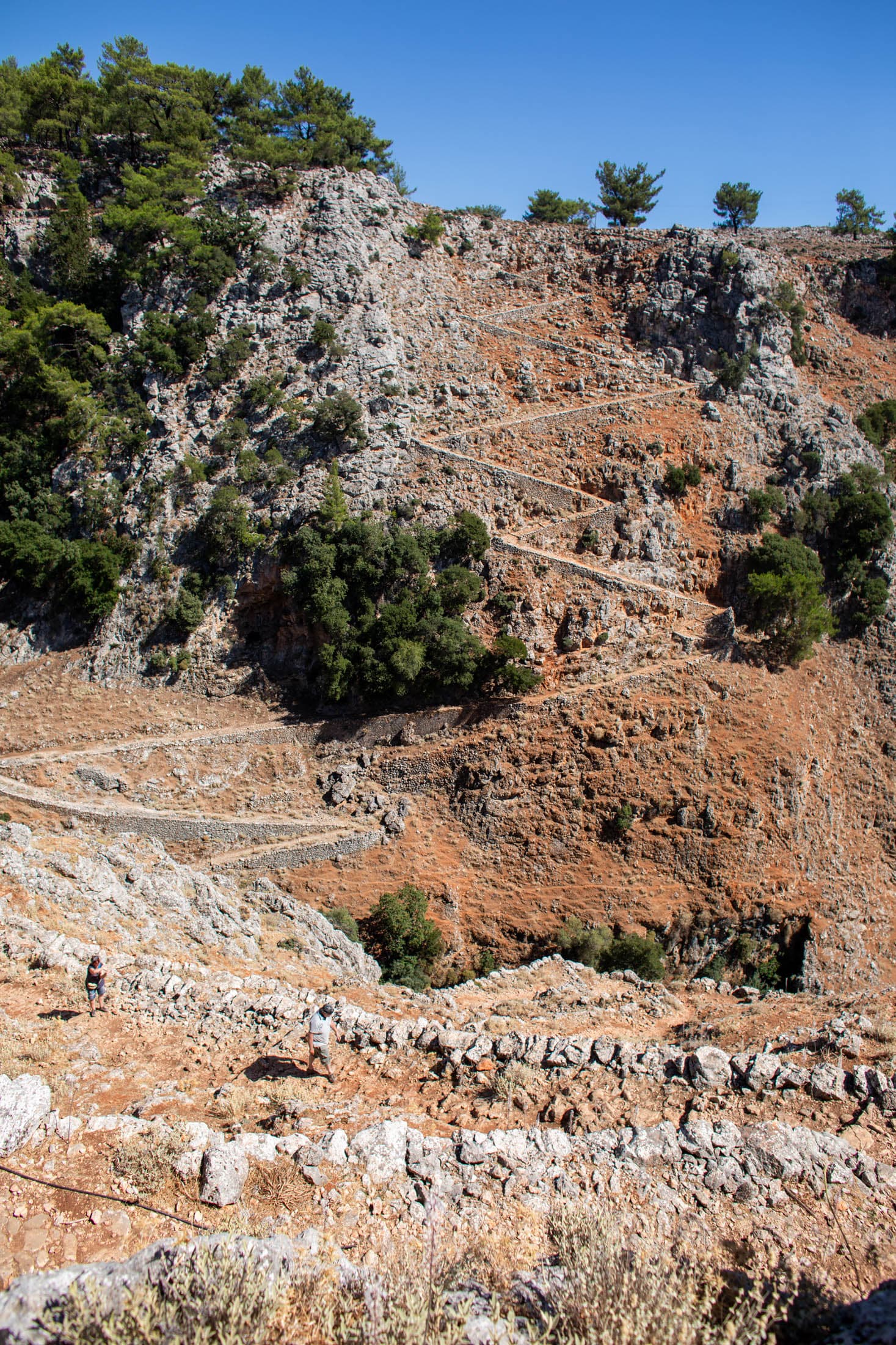 Alt text not provided