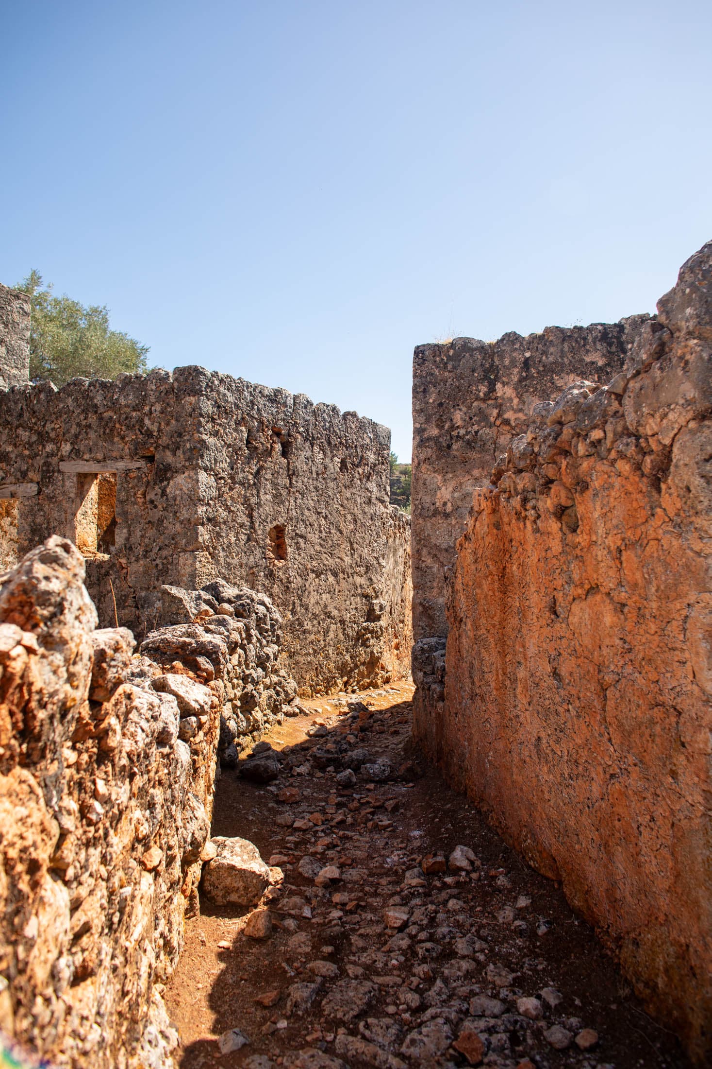 Alt text not provided