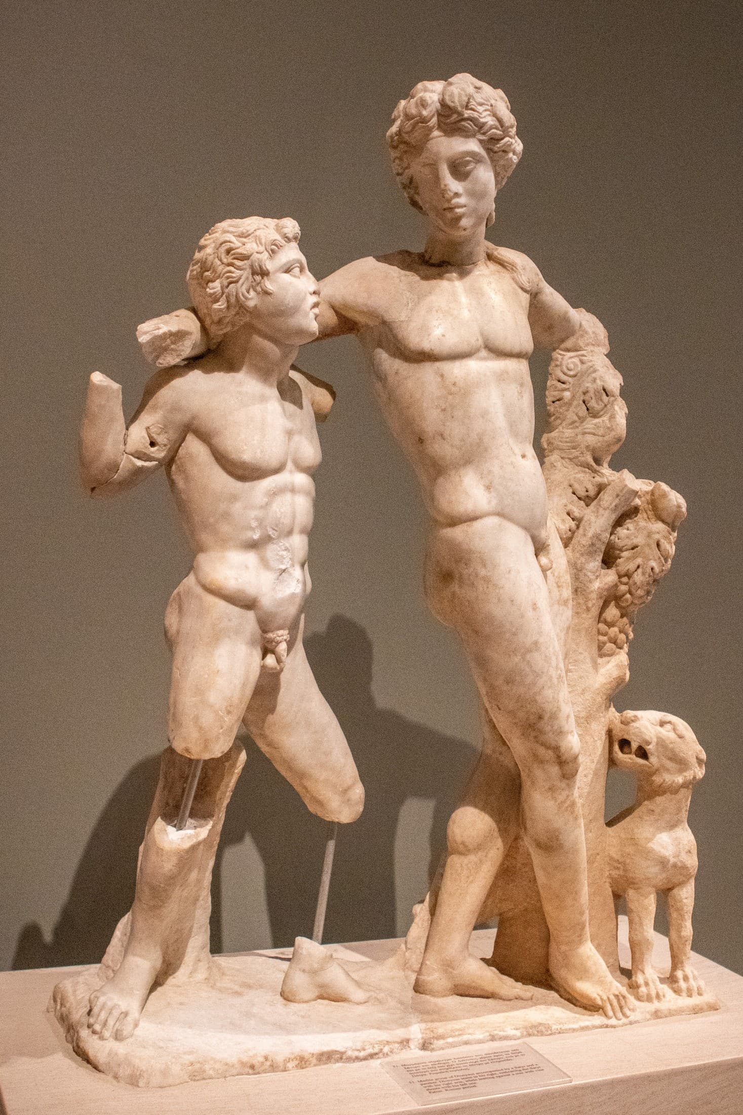 Alt text not provided