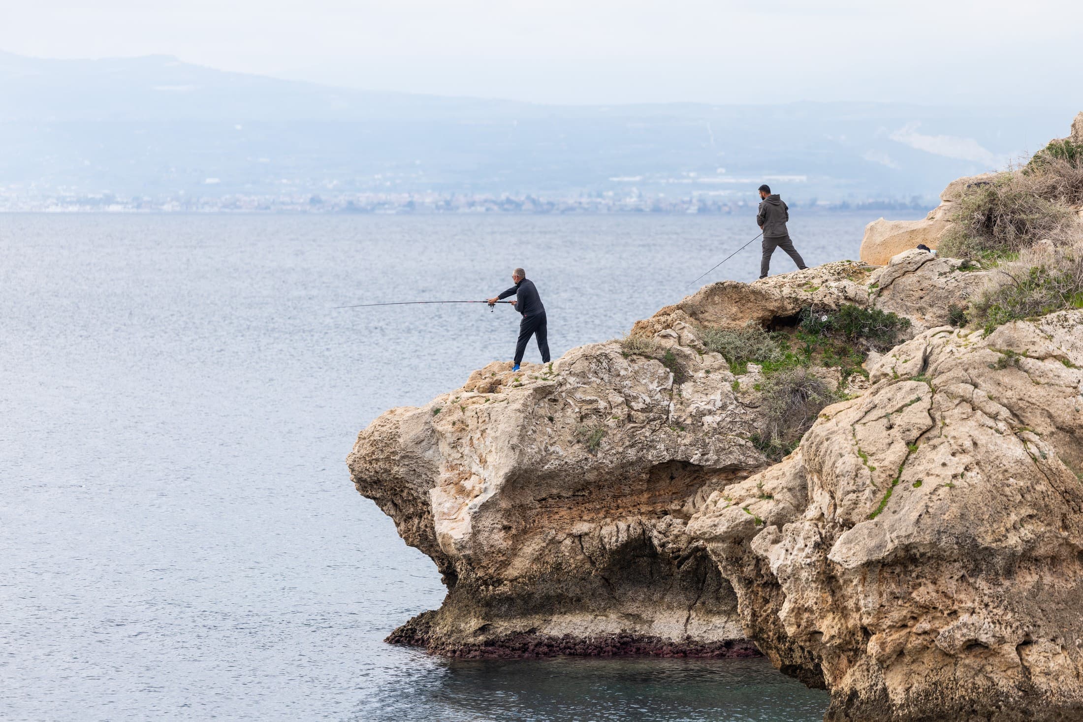 Alt text not provided