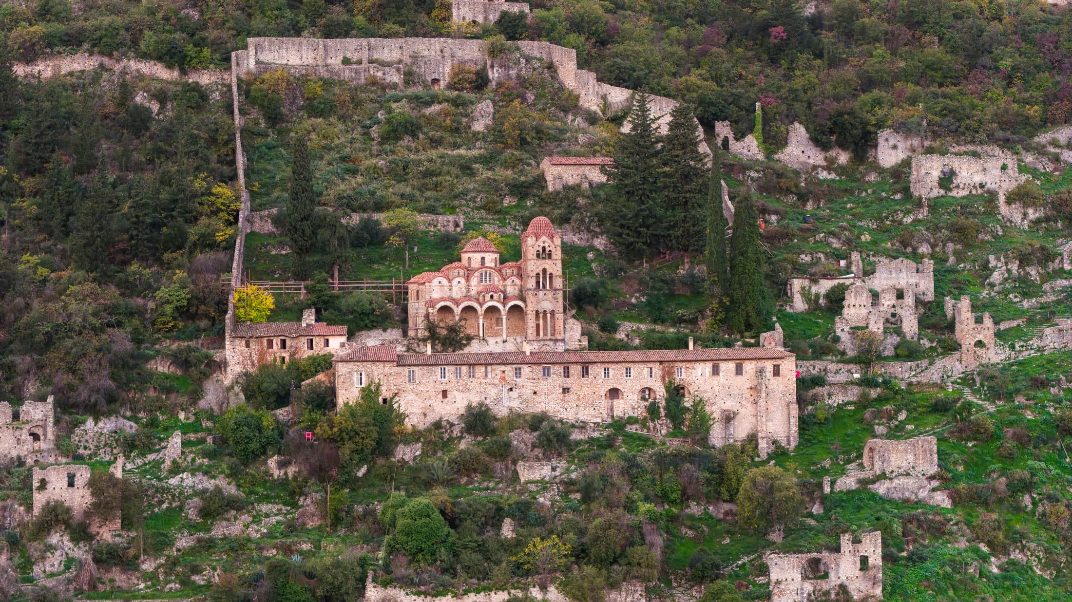 Alt text not provided