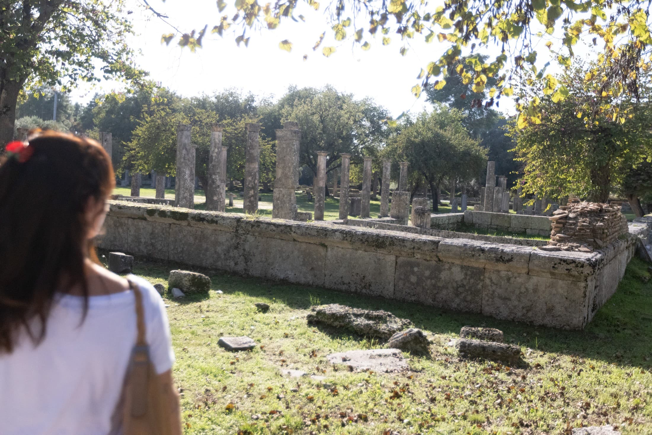 Alt text not provided