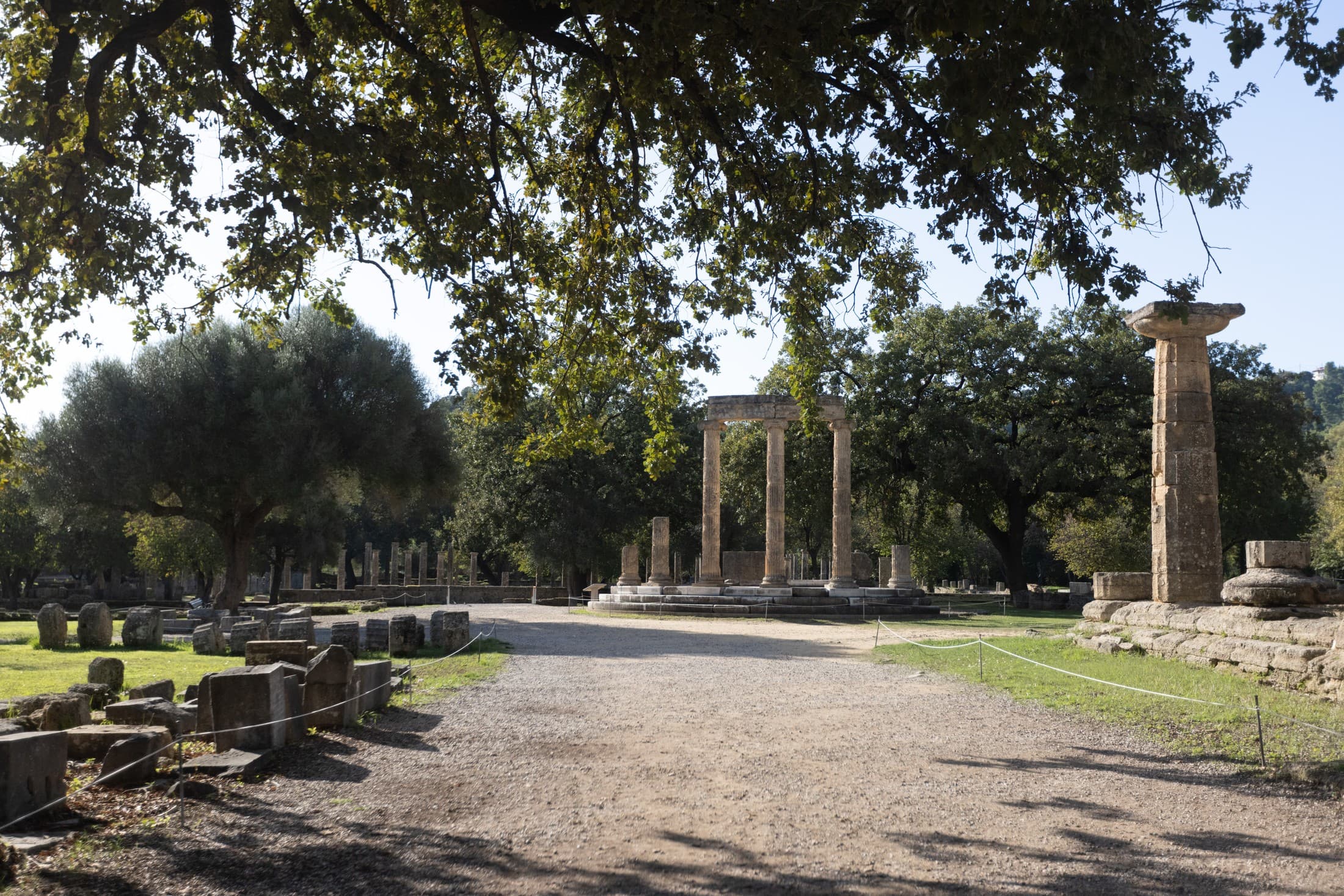 Alt text not provided