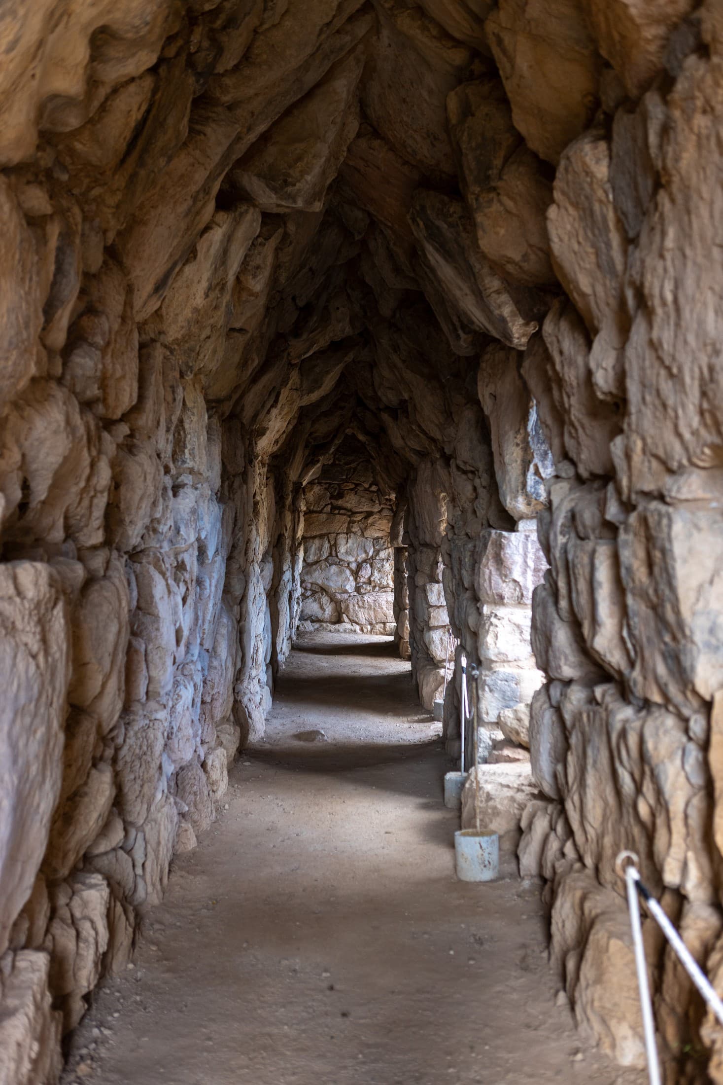 Alt text not provided