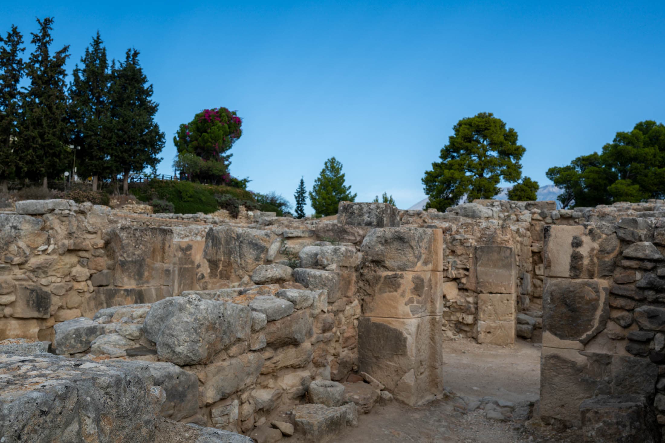 Alt text not provided